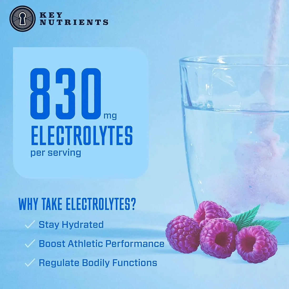 KEY NUTRIENTS - Key Nutrients Electrolytes Powder Packets 5 Delicious Flavors 10 Paquetes - The Red Vitamin MX - Suplementos Alimenticios - {{ shop.shopifyCountryName }}