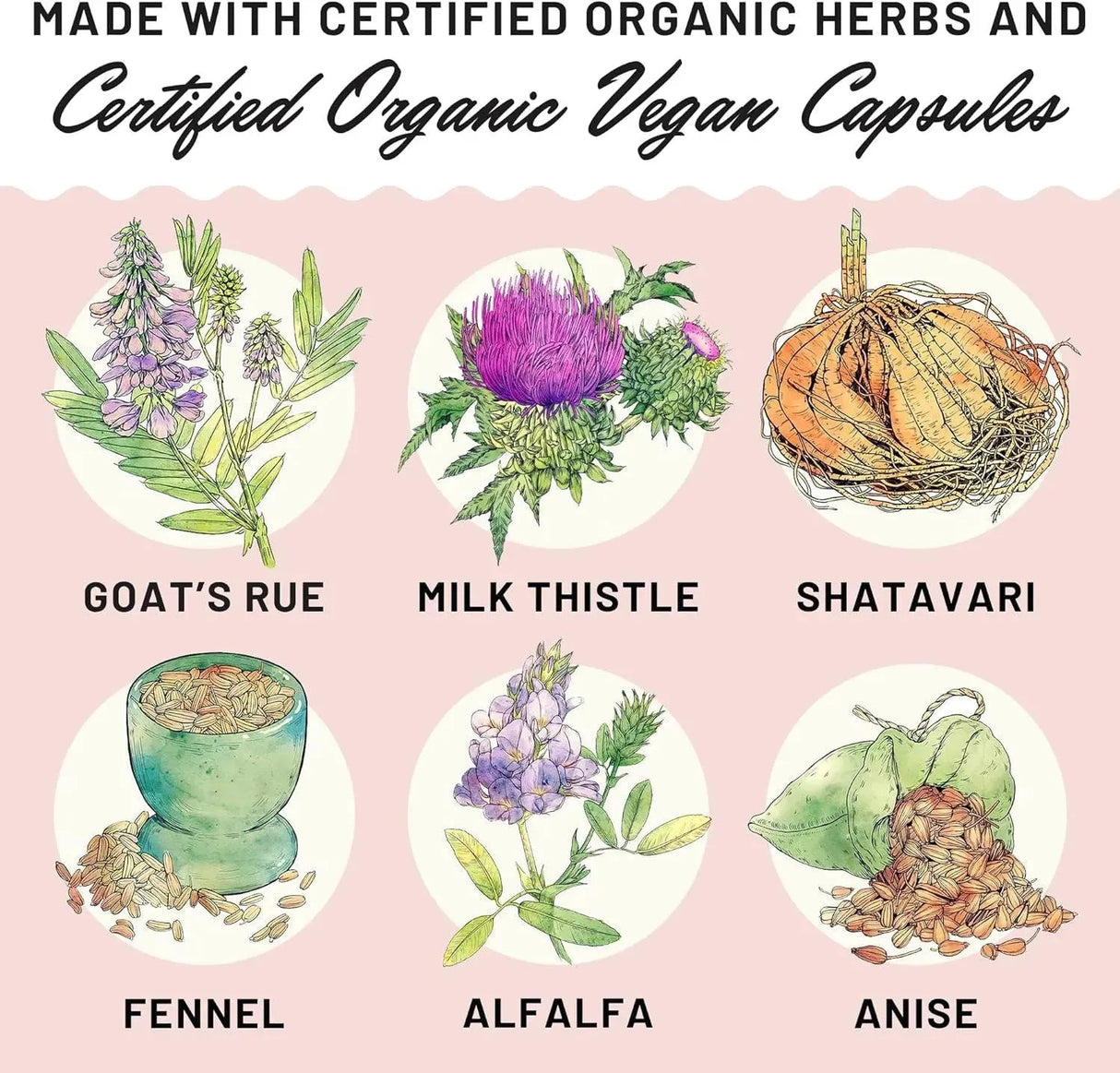 LEGENDARY MILK - Legendairy Milk Liquid Gold Lactation 60 Capsulas - The Red Vitamin MX - Suplementos Alimenticios - {{ shop.shopifyCountryName }}