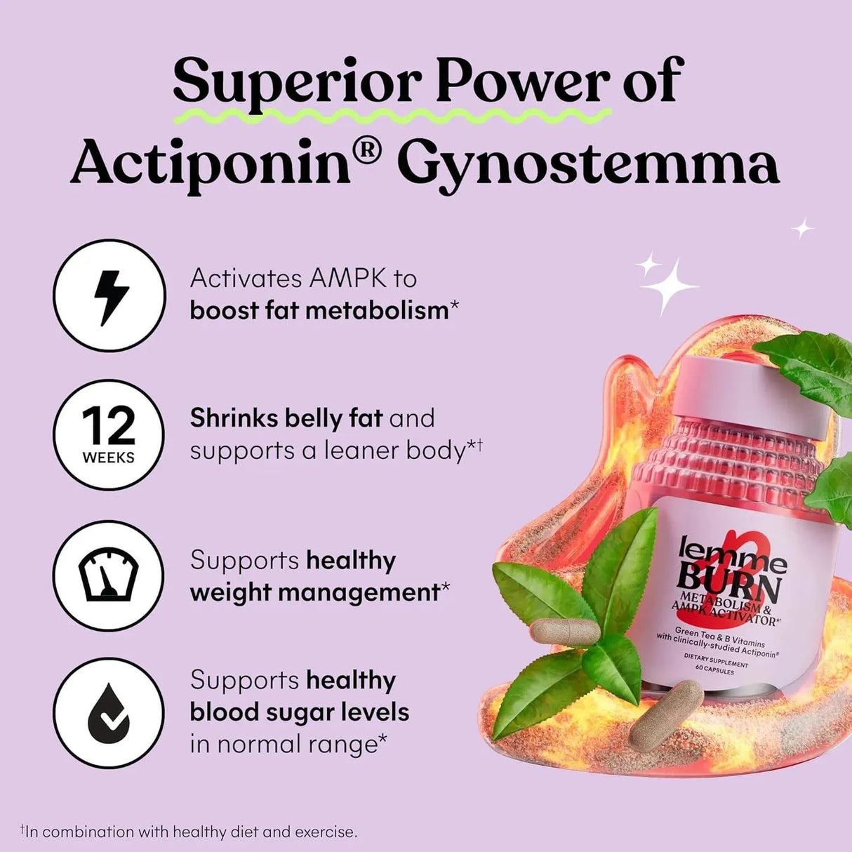 LEMME - Lemme Burn Metabolism, Belly Fat Burning + AMPK Activating 60 Capsulas - The Red Vitamin MX - - {{ shop.shopifyCountryName }}