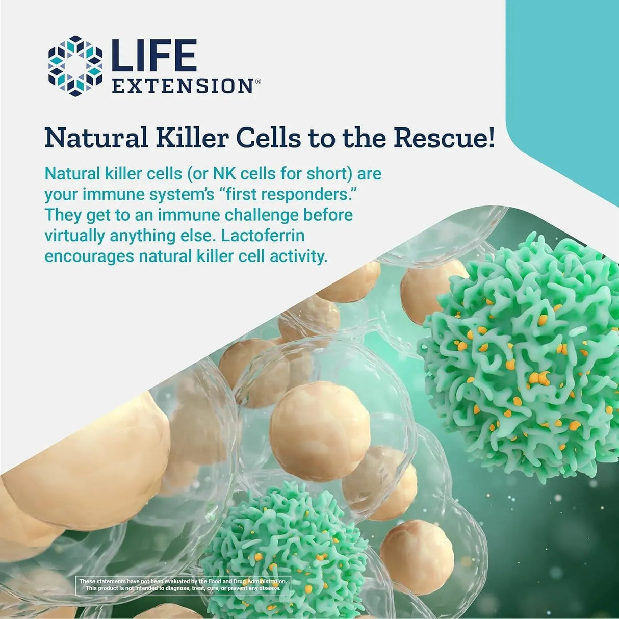 LIFE EXTENSION - Life Extension Lactoferrin 300Mg. 60 Capsulas - The Red Vitamin MX - Suplementos Alimenticios - {{ shop.shopifyCountryName }}