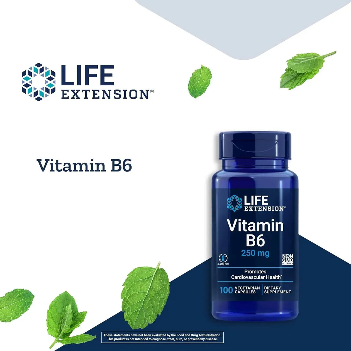LIFE EXTENSION - Life Extension Vitamin B6 250Mg. 100 Capsulas - The Red Vitamin MX - Suplementos Alimenticios - {{ shop.shopifyCountryName }}