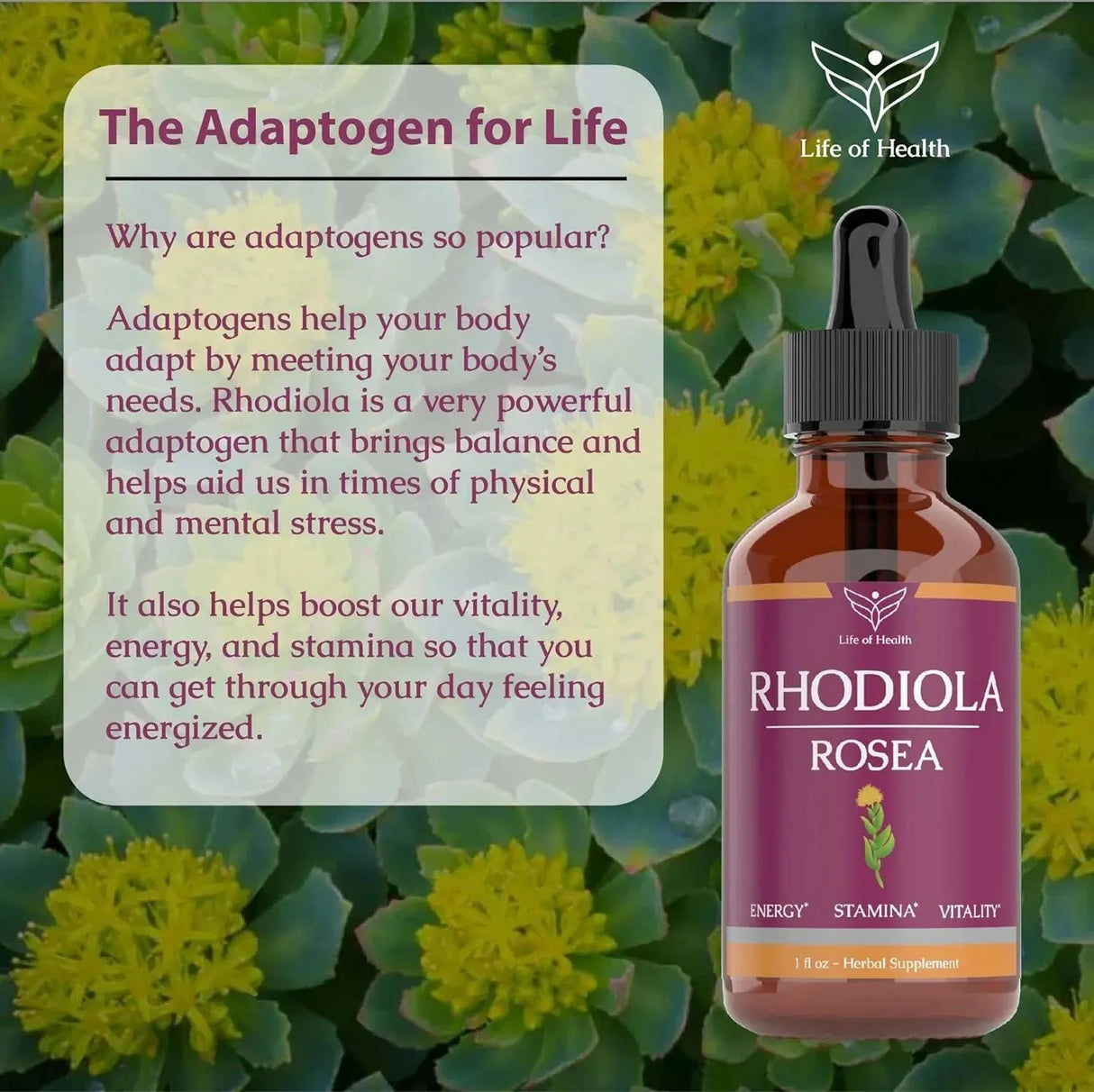 LIFE OF HEALTH - Life of Health Rhodiola Rosea Tincture 1 Fl.Oz. - The Red Vitamin MX - Suplementos Alimenticios - {{ shop.shopifyCountryName }}