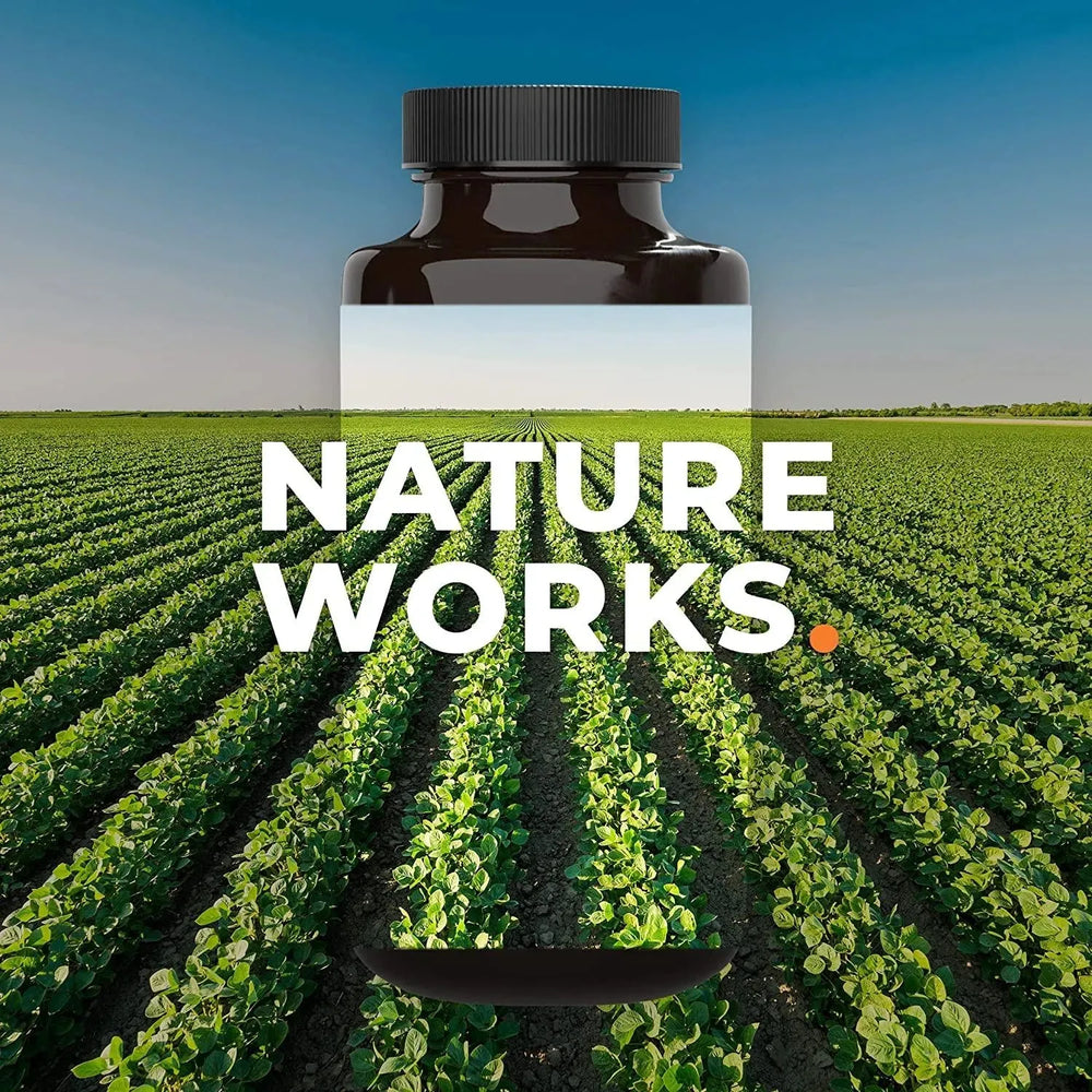 LIFE SEASONS - Life Seasons Anxie-T Herbal Stress Relief Supplement to Relax and Calm Mind 120 Capsulas - The Red Vitamin MX - Suplementos Alimenticios - {{ shop.shopifyCountryName }}