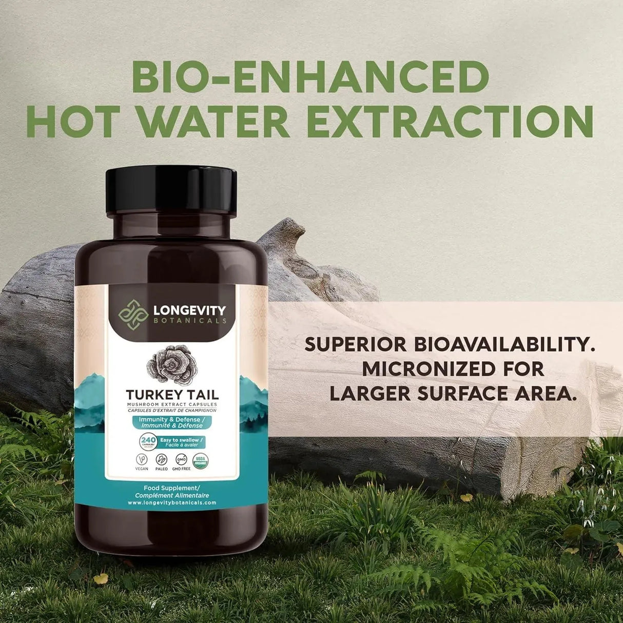 LONGEVITY BOTANICALS - Longevity Botanicals Organic Turkey Tail Mushroom 240 Capsulas - The Red Vitamin MX - Suplementos Alimenticios - {{ shop.shopifyCountryName }}