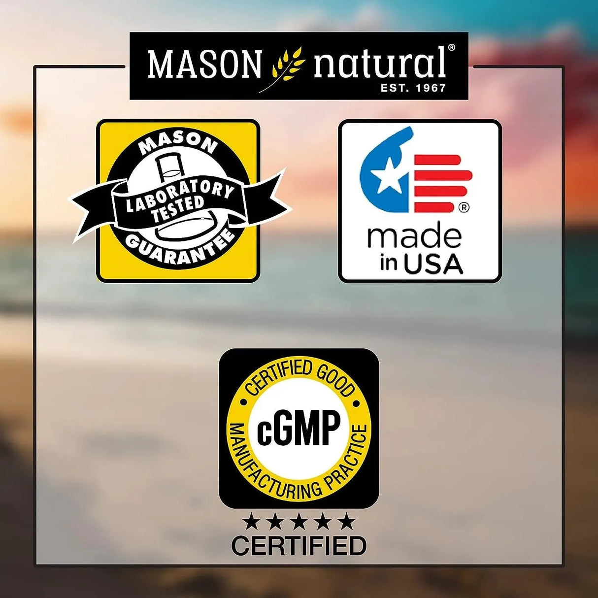 MASON NATURAL - MASON NATURAL Lecithin KELP/B6 100 Tabletas - The Red Vitamin MX - Suplementos Alimenticios - {{ shop.shopifyCountryName }}