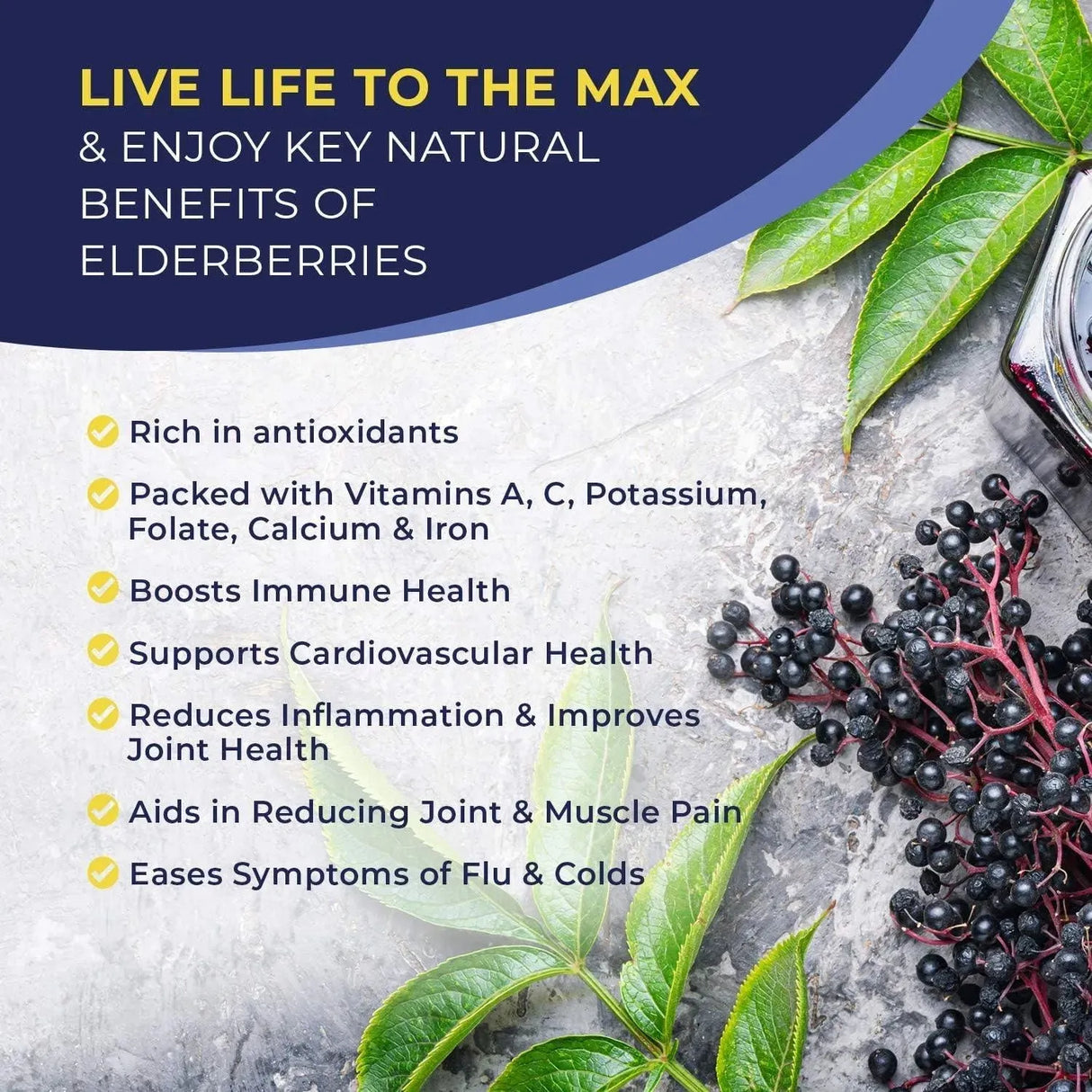 MAXIMMUNITY - MaxImmunity Organic Elderberry Syrup 60Ml. - The Red Vitamin MX - Suplementos Alimenticios - {{ shop.shopifyCountryName }}