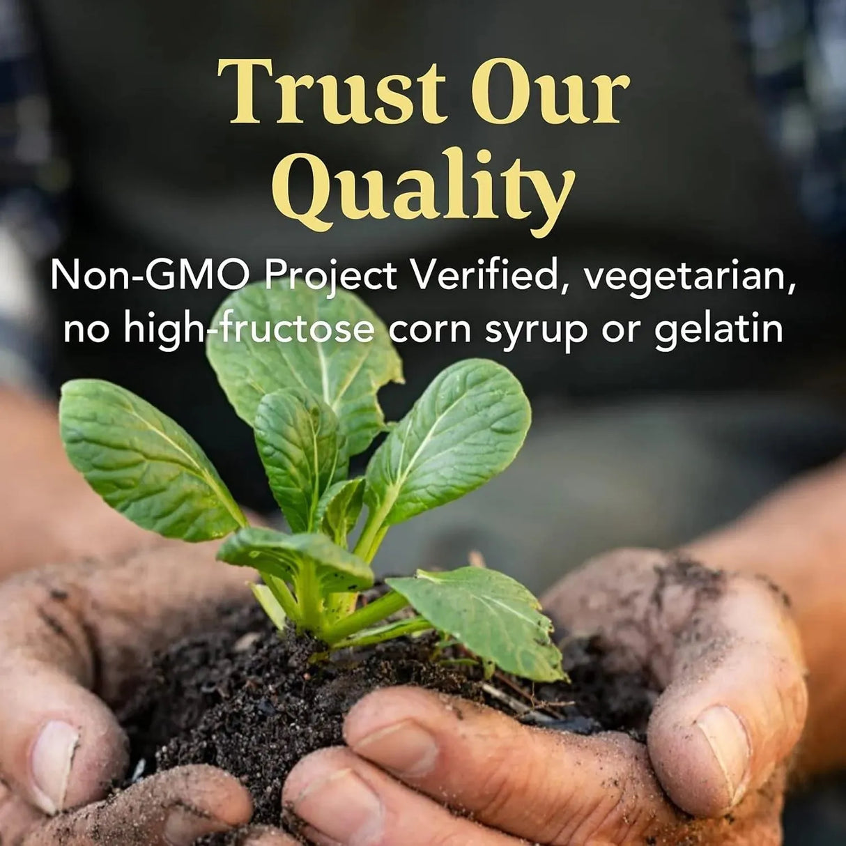 MEGAFOOD - MegaFood Kids Multivitamin Gummies 60 Gomitas - The Red Vitamin MX - Suplementos Alimenticios - {{ shop.shopifyCountryName }}