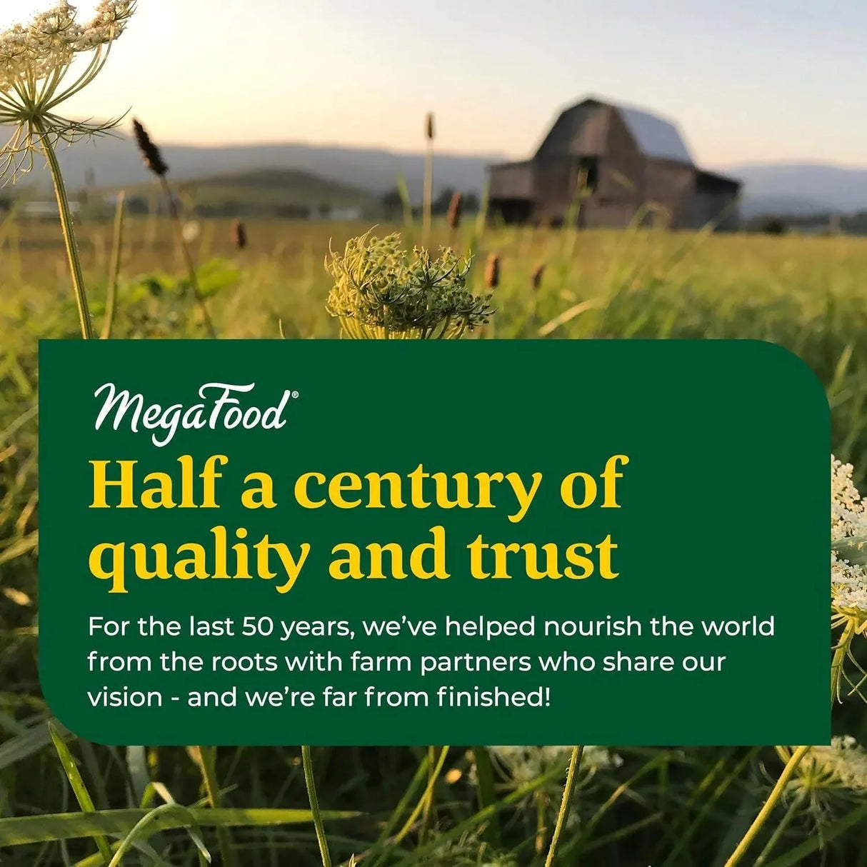 MEGAFOOD - MegaFood Men's One Daily 90 Tabletas - The Red Vitamin MX - Suplementos Alimenticios - {{ shop.shopifyCountryName }}