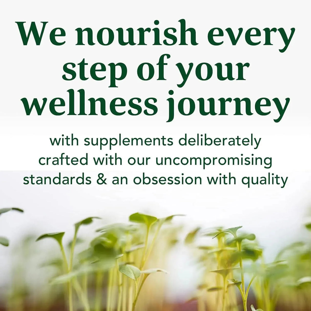 MEGAFOOD - MegaFood Relax + Calm Magnesium Powder 7.05Oz. - The Red Vitamin MX - Suplementos Alimenticios - {{ shop.shopifyCountryName }}