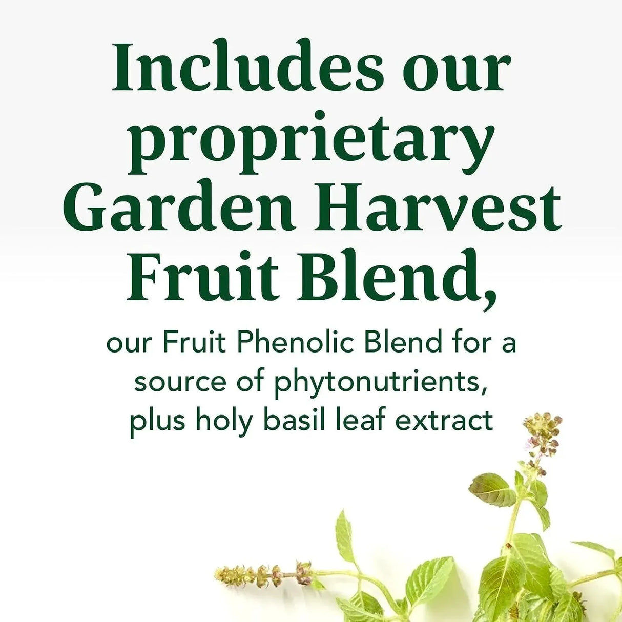 MEGAFOOD - MegaFood Turmeric Curcumin Extra Strength 90 Tabletas - The Red Vitamin MX - Suplementos Alimenticios - {{ shop.shopifyCountryName }}