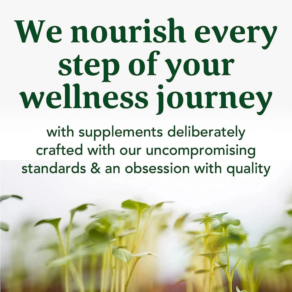 MEGAFOOD - MegaFood Turmeric Curcumin Extra Strength 90 Tabletas - The Red Vitamin MX - Suplementos Alimenticios - {{ shop.shopifyCountryName }}