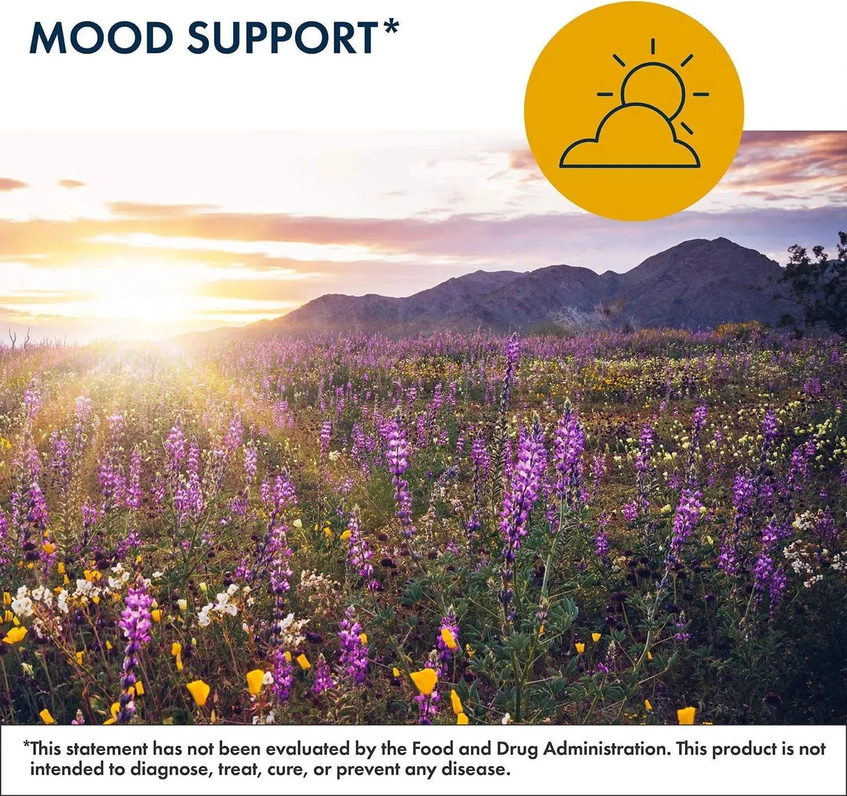 METABOLIC MANTENANCE - Metabolic Maintenance L-Methylfolate 10Mg. 90 Capsulas - The Red Vitamin MX - Suplementos Alimenticios - {{ shop.shopifyCountryName }}