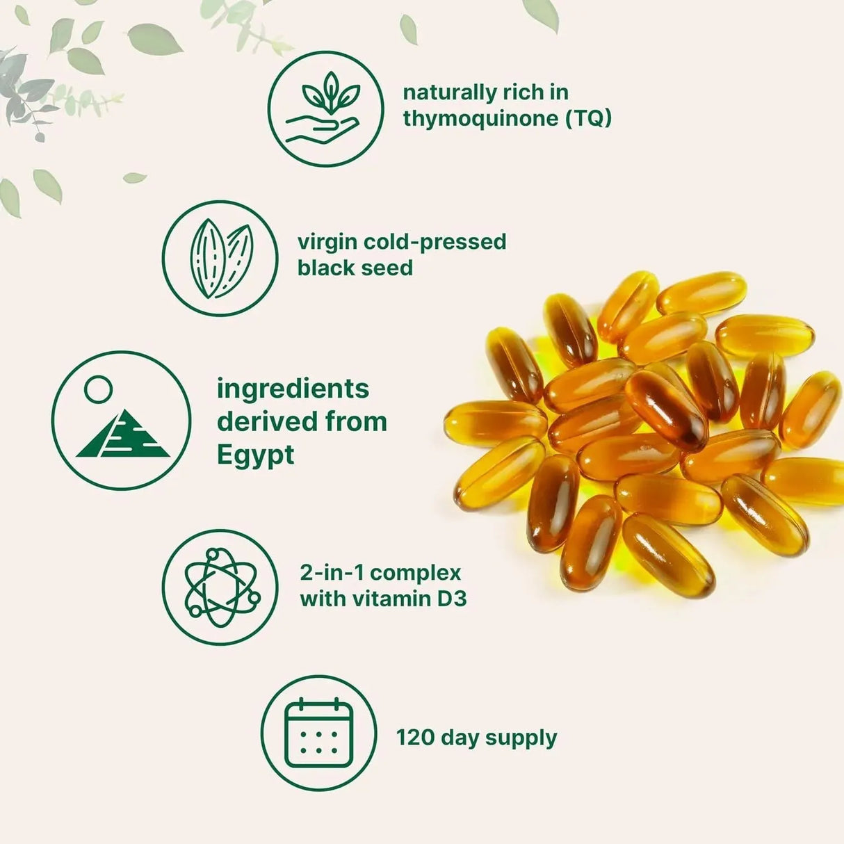 MICRO INGREDIENTS - Micro Ingredients Black Seed Oil 2000Mg. with Vitamin D3 240 Capsulas Blandas - The Red Vitamin MX - Suplementos Alimenticios - {{ shop.shopifyCountryName }}