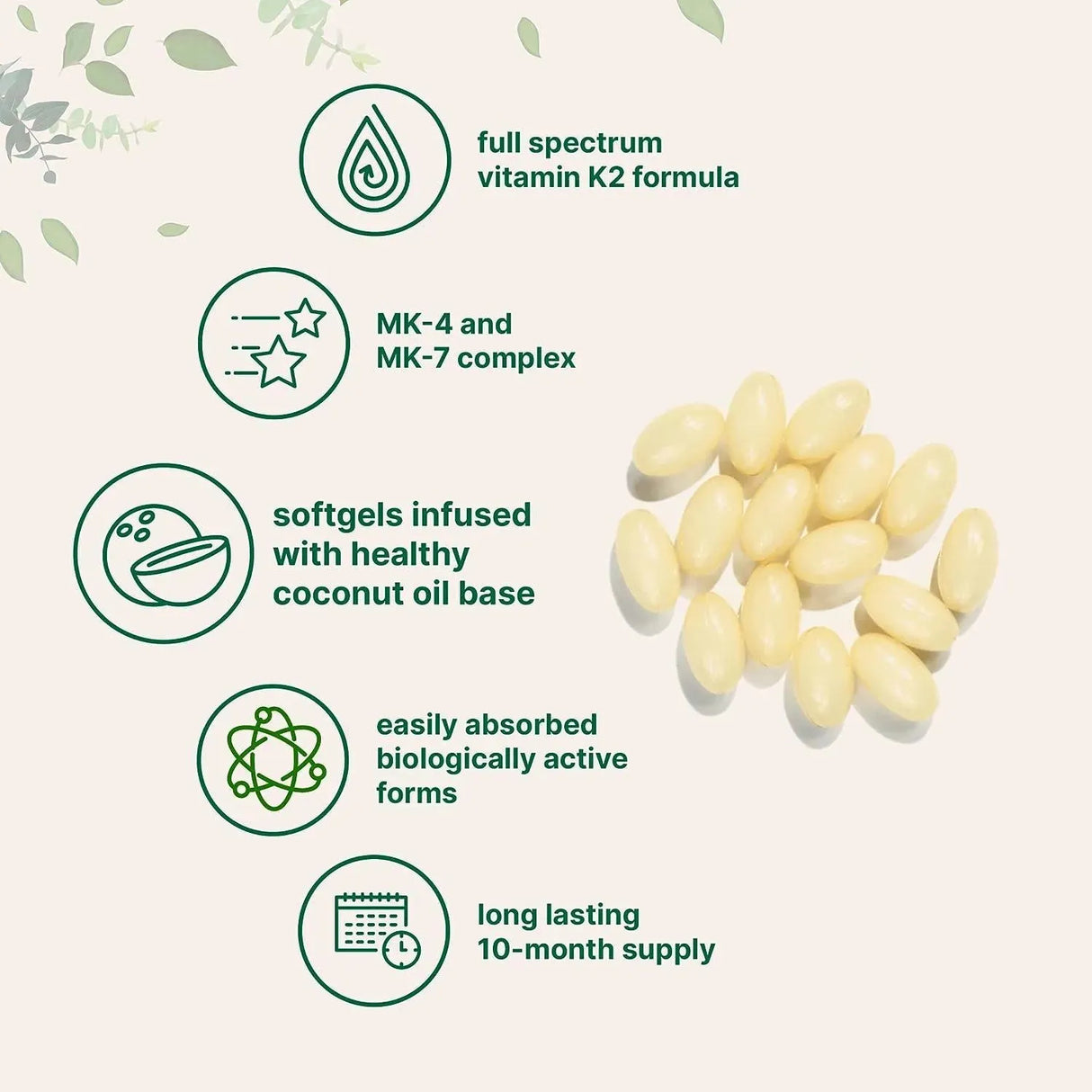 MICRO INGREDIENTS - Micro Ingredients Full Spectrum Vitamin K2 MK-4 + MK-7 300 Capsulas Blandas - The Red Vitamin MX - Suplementos Alimenticios - {{ shop.shopifyCountryName }}