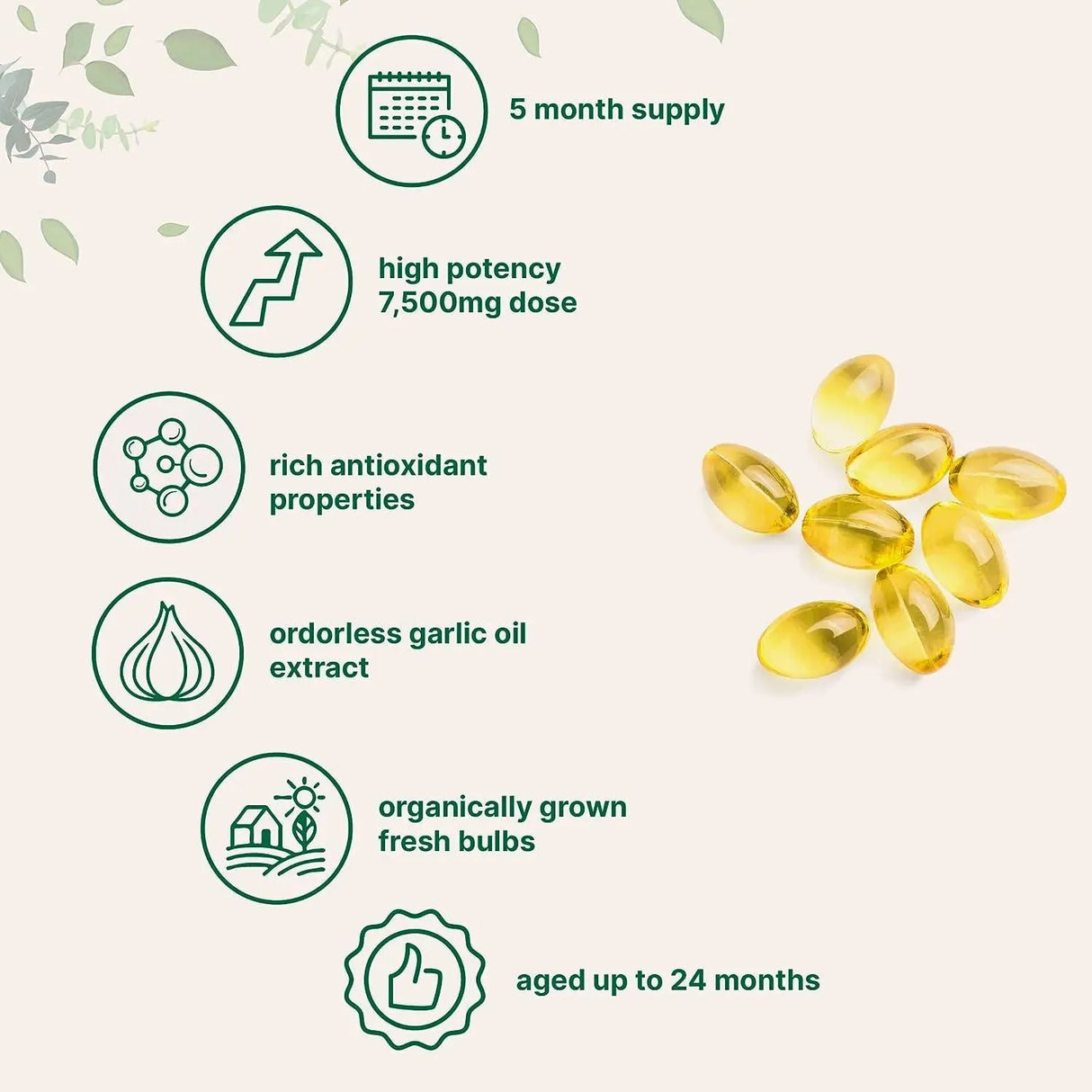 MICRO INGREDIENTS - Micro Ingredients Odorless Garlic 7500Mg. 300 Capsulas Blandas - The Red Vitamin MX - Suplementos Alimenticios - {{ shop.shopifyCountryName }}