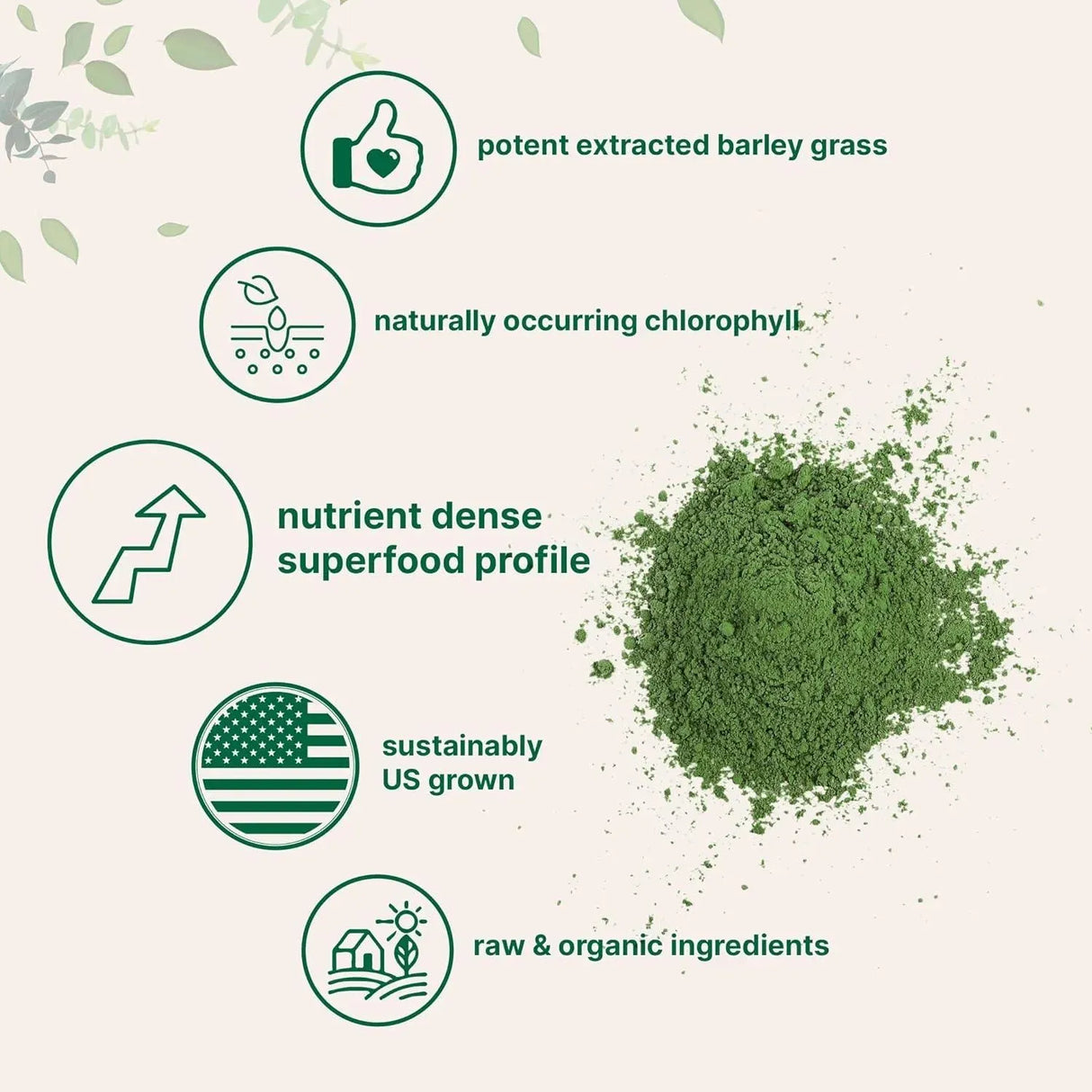 MICRO INGREDIENTS - Micro Ingredients Organic Barley Grass Powder 453Gr. - The Red Vitamin MX - Suplementos Alimenticios - {{ shop.shopifyCountryName }}
