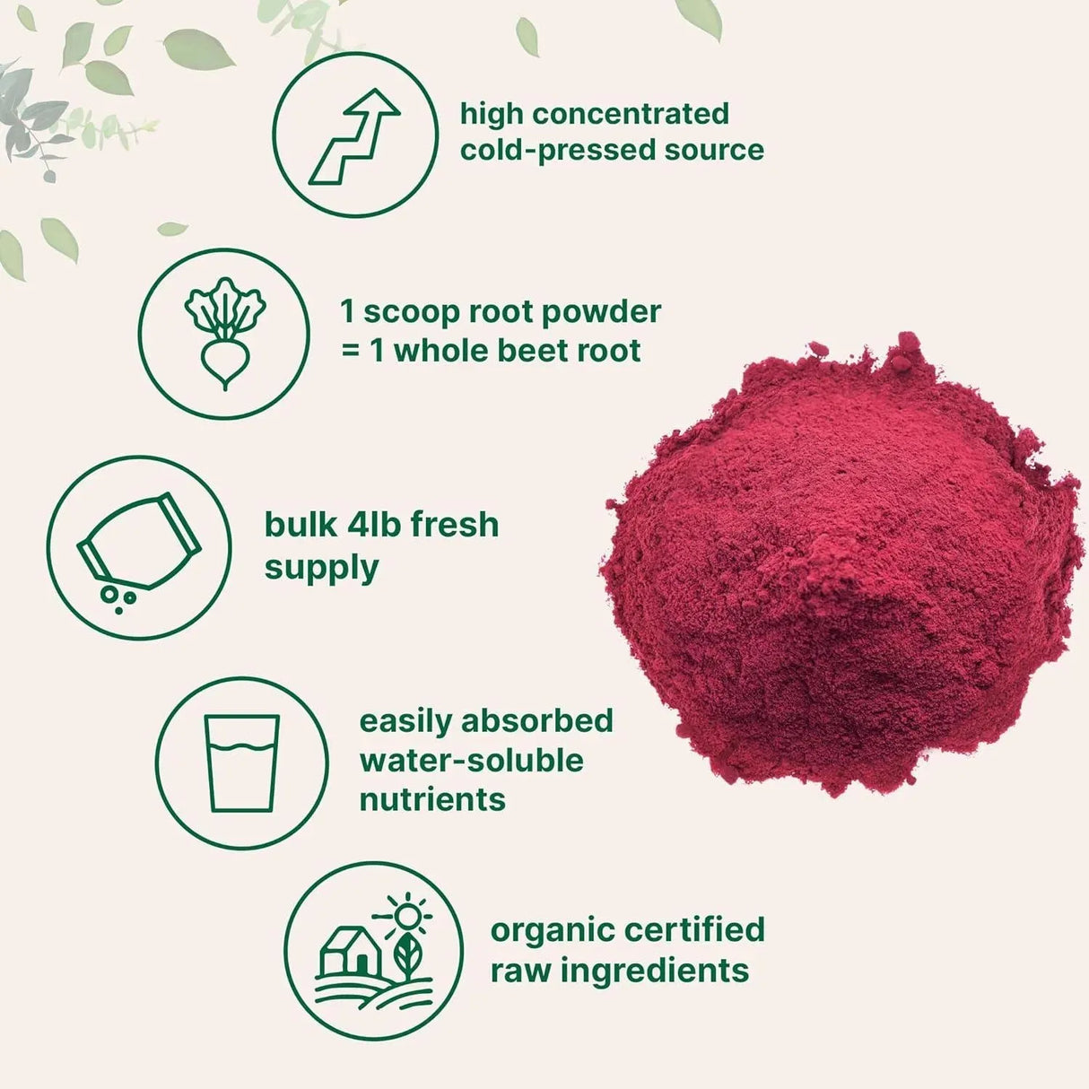 MICRO INGREDIENTS - Micro Ingredients Organic Beet Root Powder 1.81 Kg. - The Red Vitamin MX - Suplementos Alimenticios - {{ shop.shopifyCountryName }}