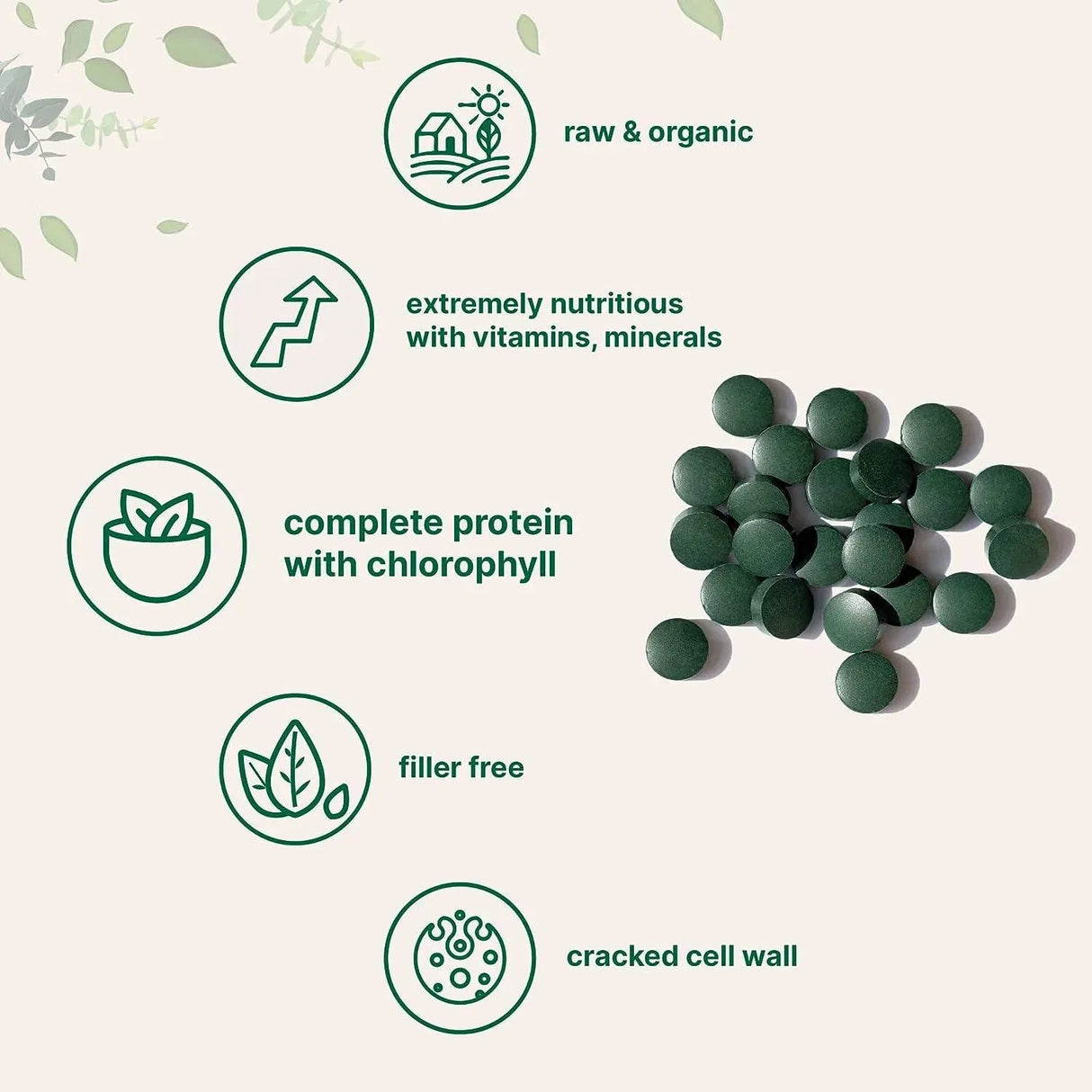 MICRO INGREDIENTS - Micro Ingredients Organic Chlorella 500Mg. 720 Tabletas - The Red Vitamin MX - Suplementos Alimenticios - {{ shop.shopifyCountryName }}