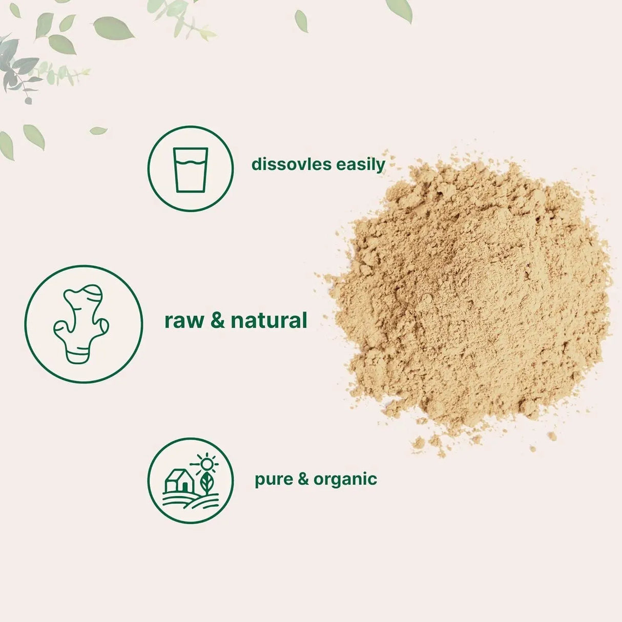 MICRO INGREDIENTS - Micro Ingredients Organic Ginger Powder 907Gr. - The Red Vitamin MX - Suplementos Alimenticios - {{ shop.shopifyCountryName }}