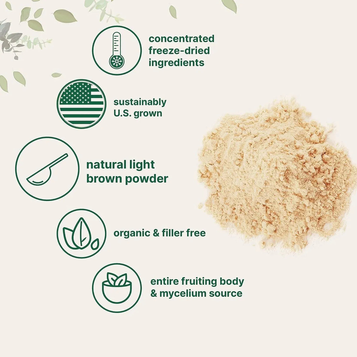 MICRO INGREDIENTS - Micro Ingredients Organic Lions Mane Mushroom Supplement Powder 454Gr. - The Red Vitamin MX - Suplementos Alimenticios - {{ shop.shopifyCountryName }}