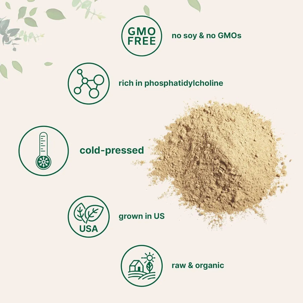 MICRO INGREDIENTS - Micro Ingredients Organic Sunflower Lecithin Powder 454Gr. - The Red Vitamin MX - Suplementos Alimenticios - {{ shop.shopifyCountryName }}