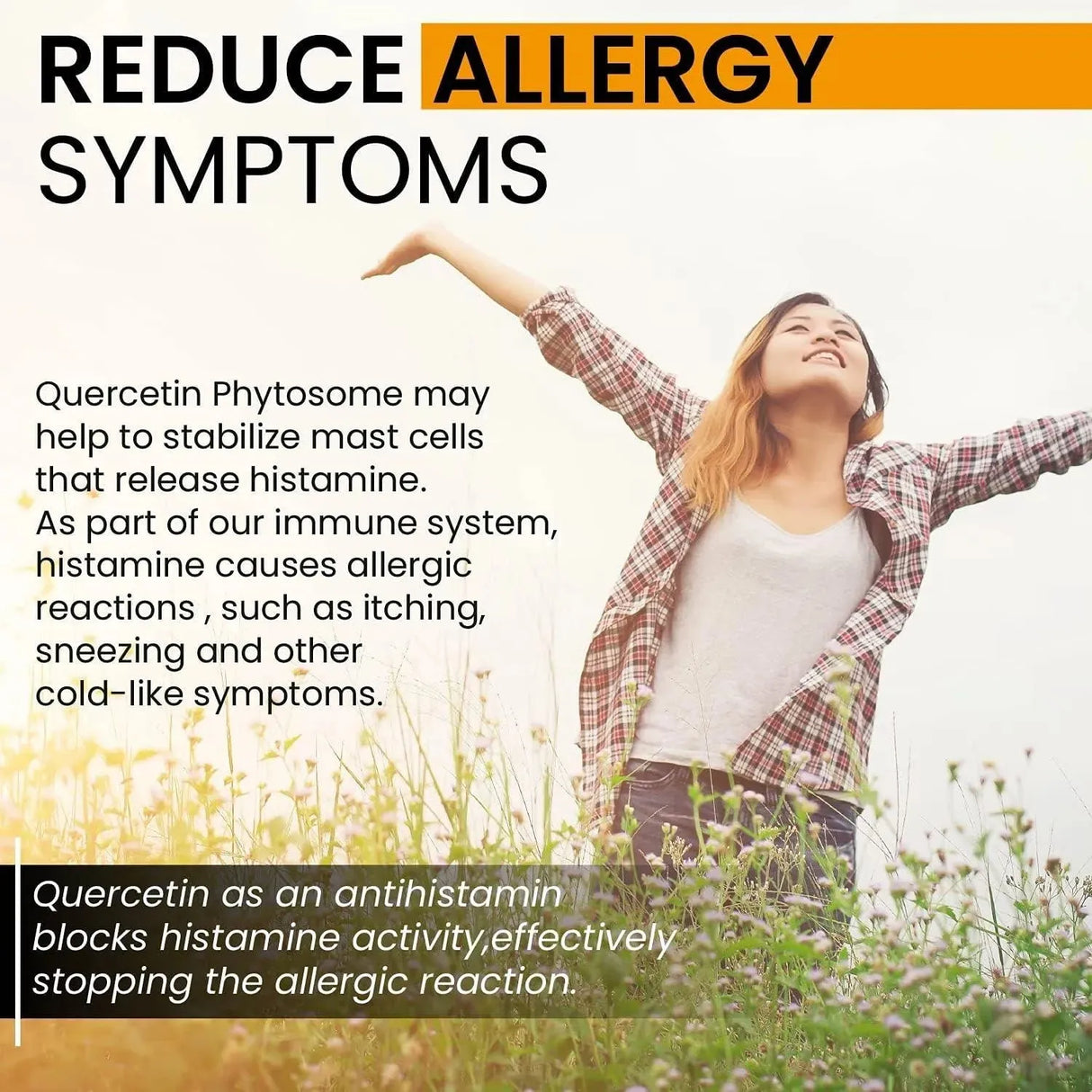 MOXYVITES - MoxyVites Quercetin with Bromelain 500Mg. Supplement 120 Capsulas - The Red Vitamin MX - Suplementos Alimenticios - {{ shop.shopifyCountryName }}