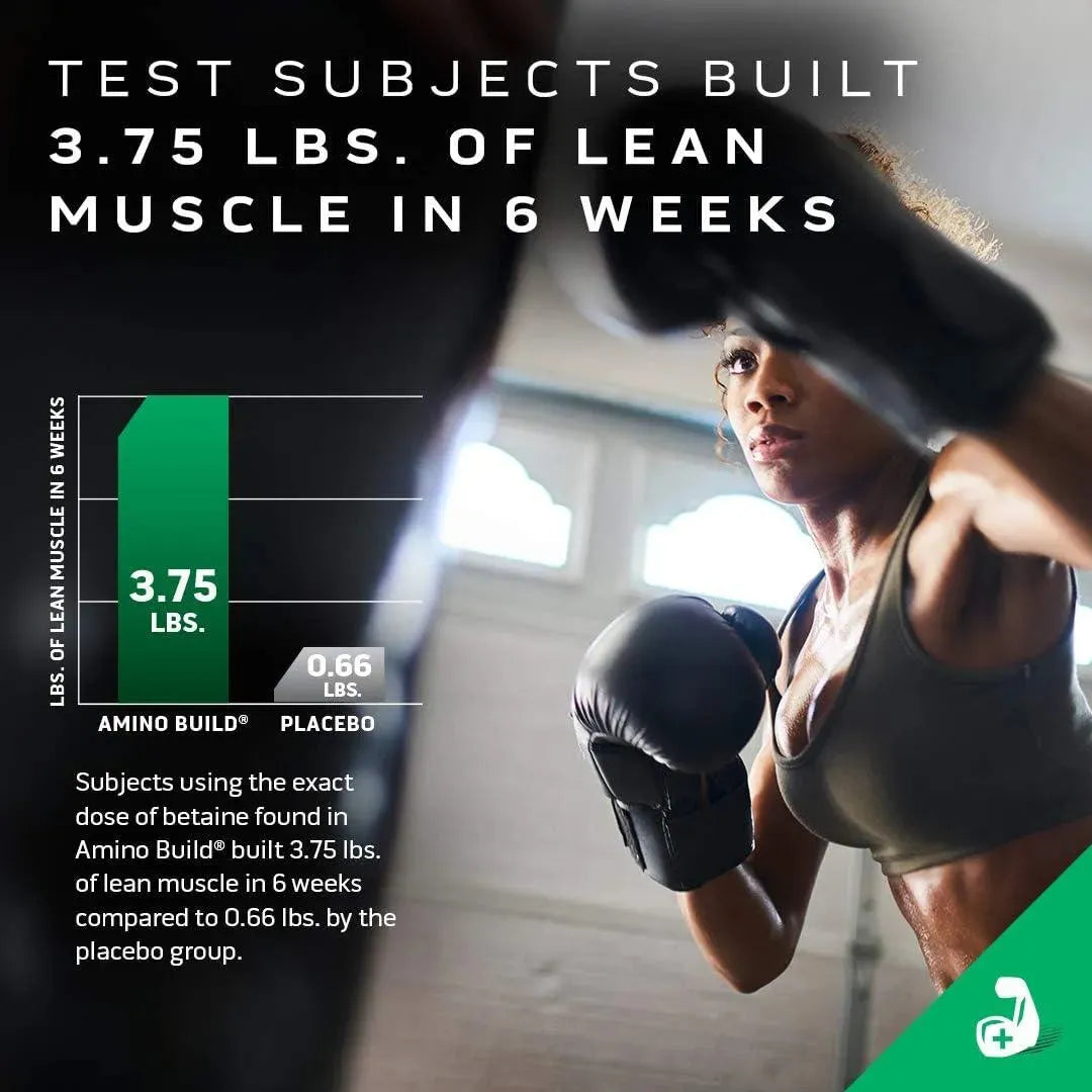 MUSCLETECH - MuscleTech BCAA Amino Acids + Electrolyte Powder 40 Servicios 614Gr. - The Red Vitamin MX - Suplementos Alimenticios - {{ shop.shopifyCountryName }}