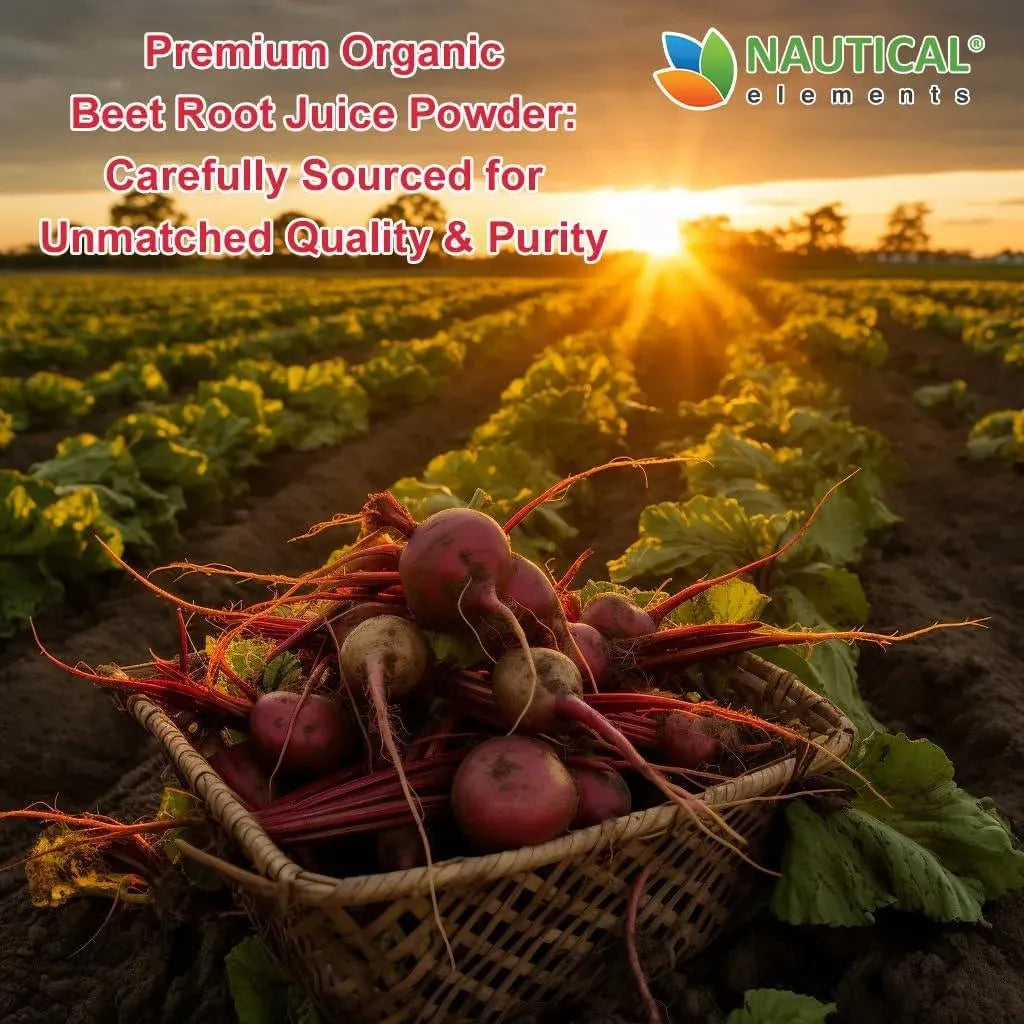 NATURAL ELEMENTS - Nautical Elements Beet Juice Powder Organic 200Gr. - The Red Vitamin MX - Suplementos Alimenticios - {{ shop.shopifyCountryName }}