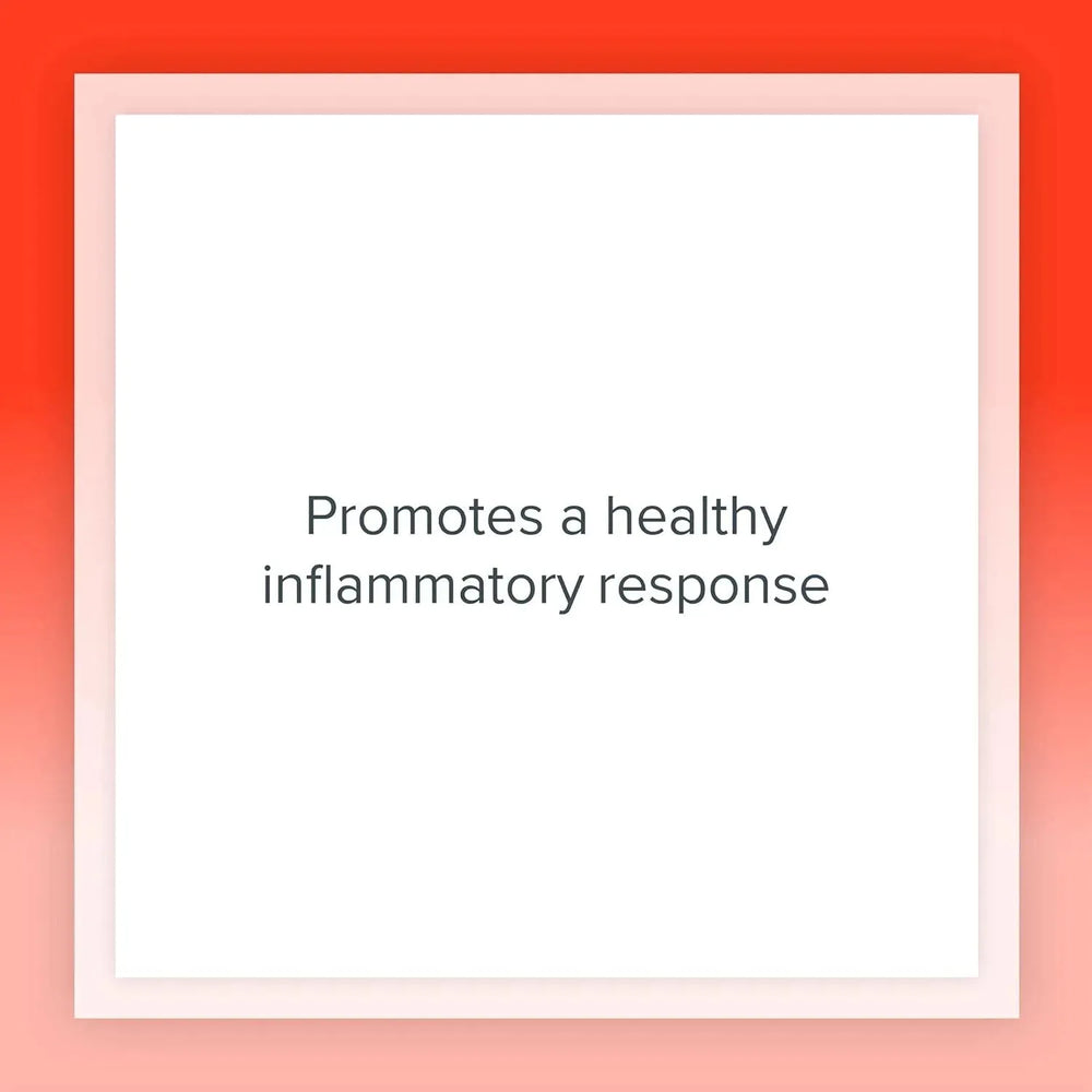 NATURAL FACTORS - Natural Factors MSM Joint Formula 180 Capsulas - The Red Vitamin MX - Suplementos Alimenticios - {{ shop.shopifyCountryName }}