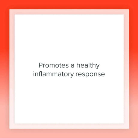 NATURAL FACTORS - Natural Factors MSM Joint Formula 180 Capsulas - The Red Vitamin MX - Suplementos Alimenticios - {{ shop.shopifyCountryName }}