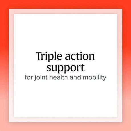 NATURAL FACTORS - Natural Factors MSM Joint Formula 180 Capsulas - The Red Vitamin MX - Suplementos Alimenticios - {{ shop.shopifyCountryName }}