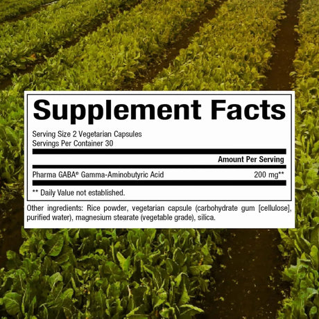 NATURAL FACTORS - Natural Factors Stress-Relax Pharma GABA 100Mg. 60 Capsulas - The Red Vitamin MX - Suplementos Alimenticios - {{ shop.shopifyCountryName }}