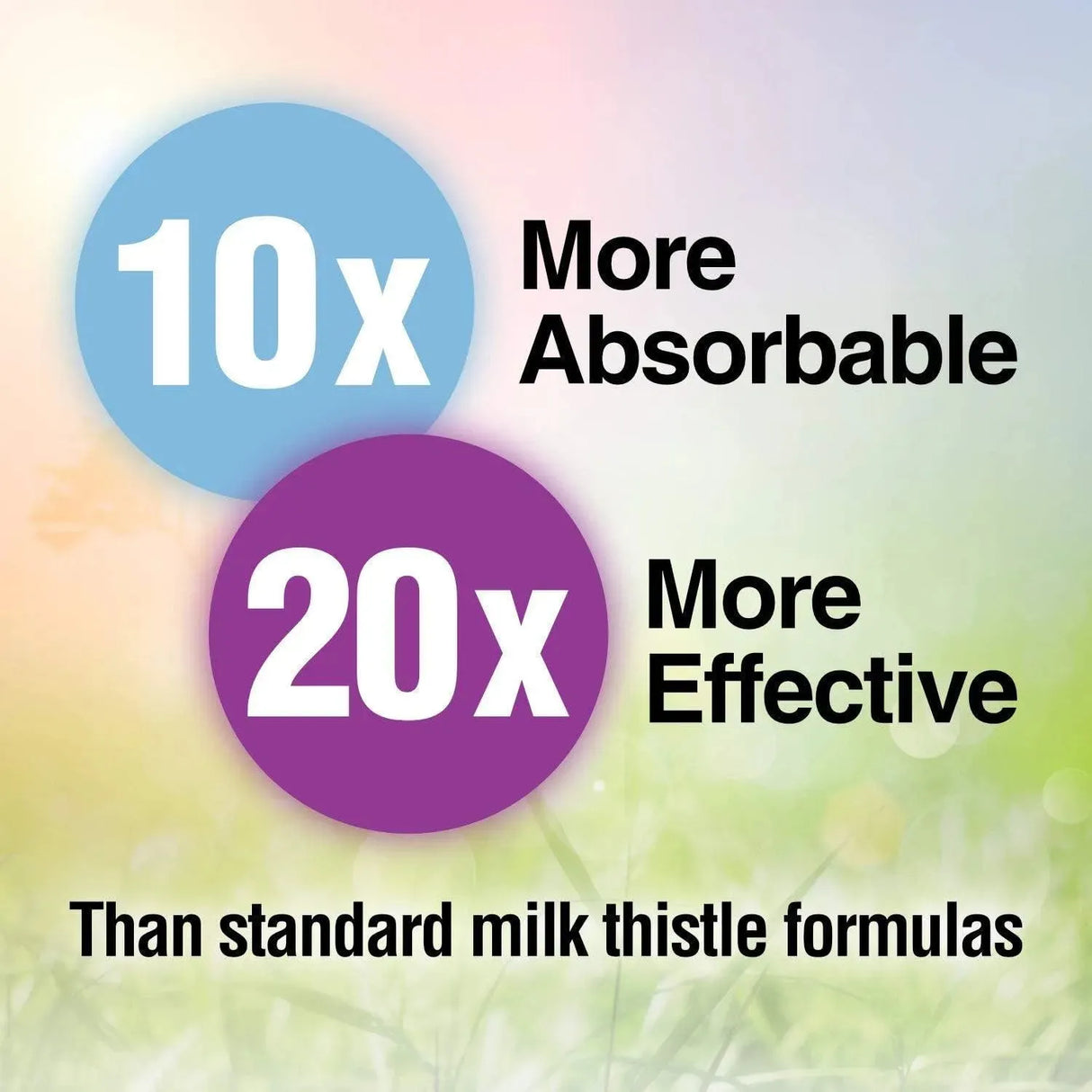 NATURAL WELLNESS - Natural Wellness Maximum Milk Thistle 240Mg. 90 Capsulas - The Red Vitamin MX - Suplementos Alimenticios - {{ shop.shopifyCountryName }}