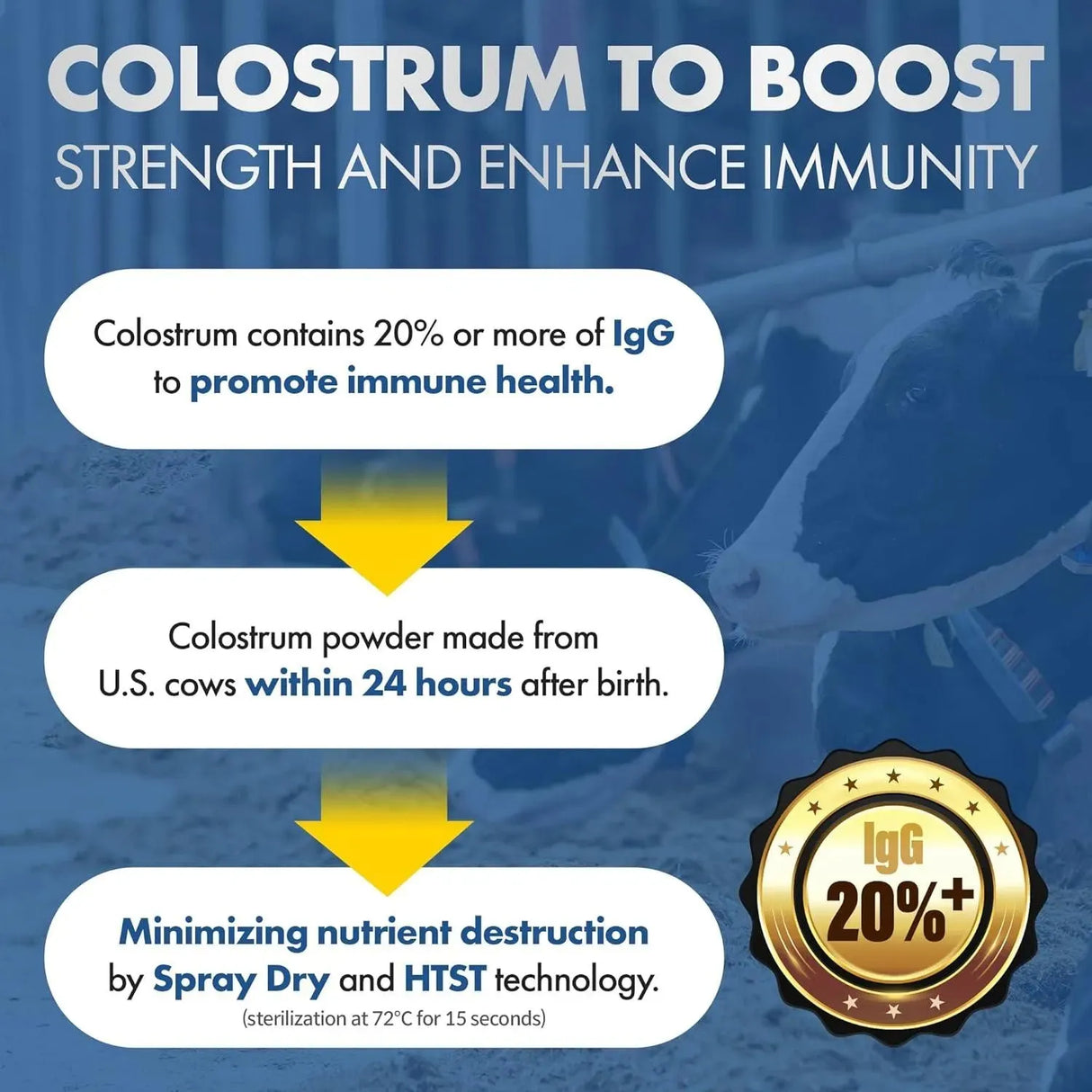 NATURALPLUS - NATURALPLUS Colostrum Protein Powder 450Gr. - The Red Vitamin MX - Suplementos Alimenticios - {{ shop.shopifyCountryName }}