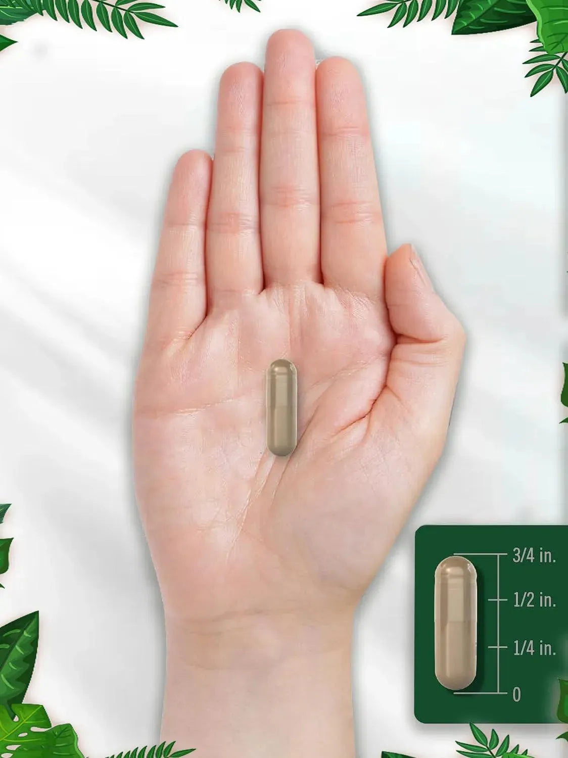 NATURE REWARD - Nature Reward Burdock Root 1000Mg. 240 Capsulas - The Red Vitamin MX - Suplementos Alimenticios - {{ shop.shopifyCountryName }}