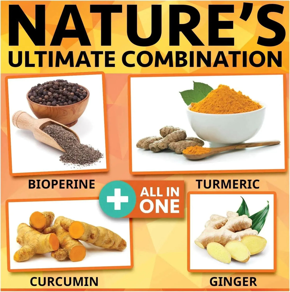 NATURE'S BRANCH - Nature's Branch Turmeric Curcumin and Ginger & BioPerine 90 Capsulas - The Red Vitamin MX - Suplementos Alimenticios - {{ shop.shopifyCountryName }}