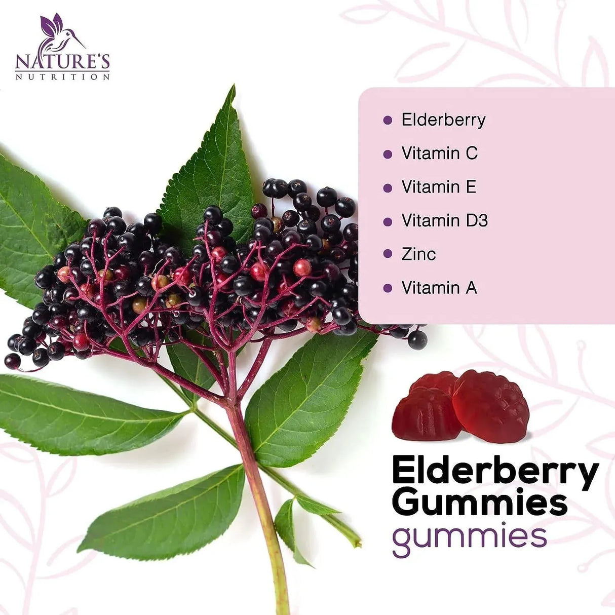 NATURE'S NUTRITION - Nature's Nutrition Premium Sambucus Elderberry Gummies 60 Gomitas - The Red Vitamin MX - Suplementos Alimenticios - {{ shop.shopifyCountryName }}