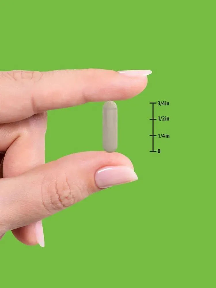 NATURE'S TRUTH - Nature's Truth Saw Palmetto 2400Mg. 120 Capsulas - The Red Vitamin MX - Suplementos Alimenticios - {{ shop.shopifyCountryName }}