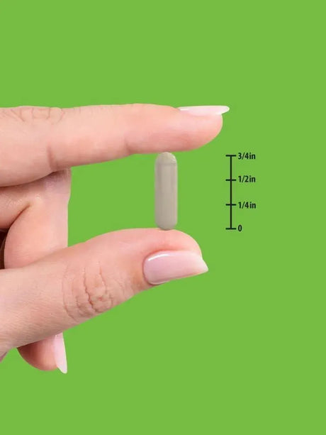 NATURE'S TRUTH - Nature's Truth Saw Palmetto 2400Mg. 120 Capsulas - The Red Vitamin MX - Suplementos Alimenticios - {{ shop.shopifyCountryName }}