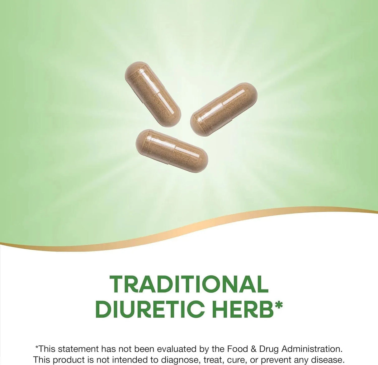 NATURE'S WAY - Nature's Way Dandelion Root 100 Capsulas - The Red Vitamin MX - Suplementos Alimenticios - {{ shop.shopifyCountryName }}