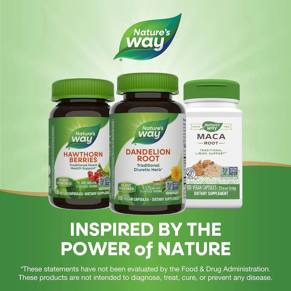 NATURE'S WAY - Nature's Way Dandelion Root 100 Capsulas - The Red Vitamin MX - Suplementos Alimenticios - {{ shop.shopifyCountryName }}