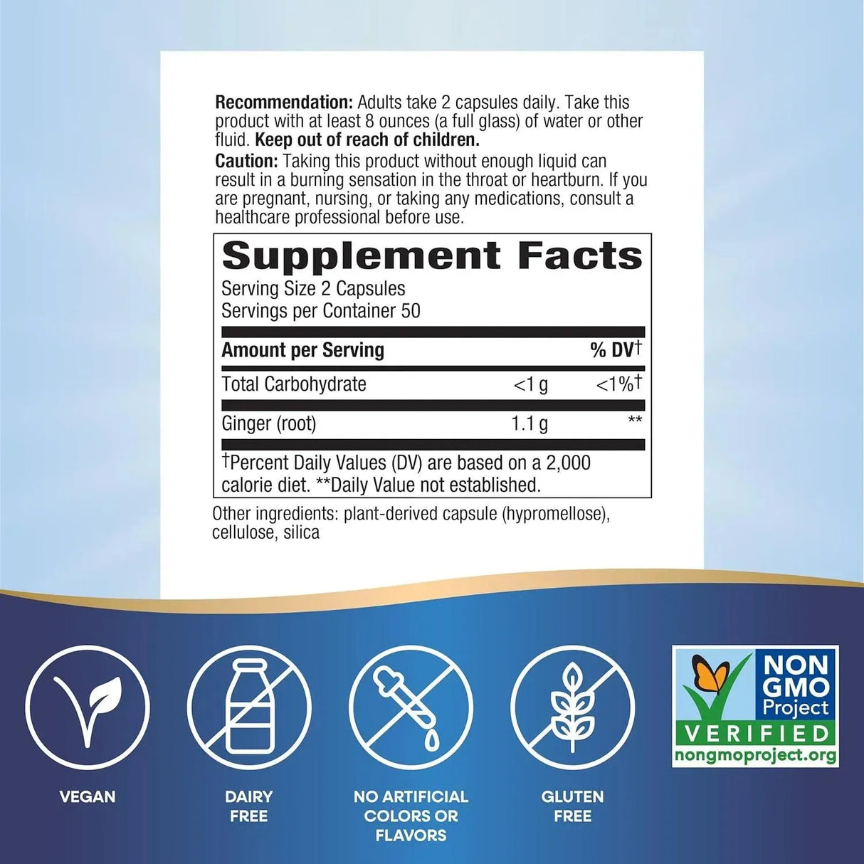 NATURE'S WAY - Nature's Way Ginger Root 1100Mg. 100 Capsulas - The Red Vitamin MX - Suplementos Alimenticios - {{ shop.shopifyCountryName }}