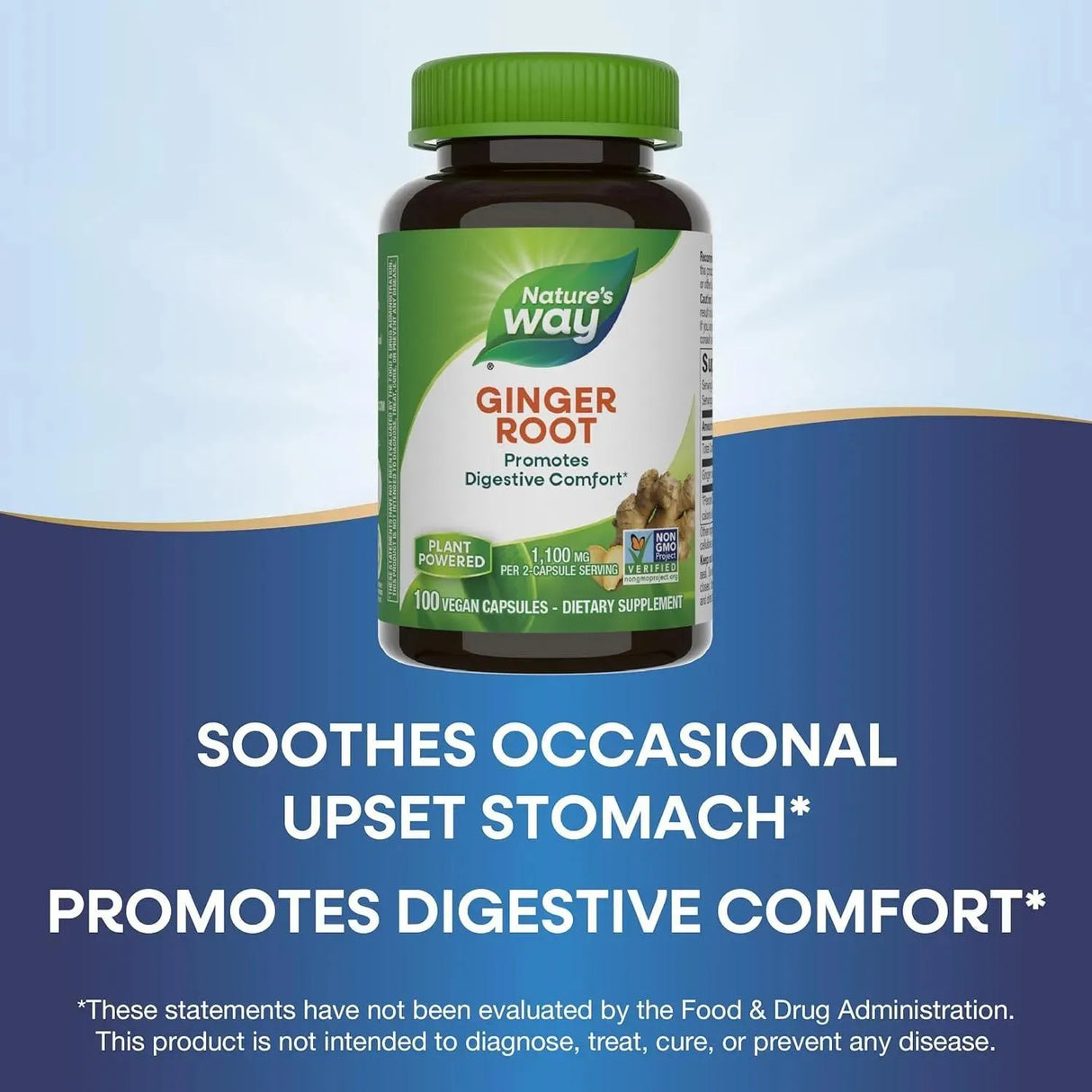 NATURE'S WAY - Nature's Way Ginger Root 1100Mg. 100 Capsulas - The Red Vitamin MX - Suplementos Alimenticios - {{ shop.shopifyCountryName }}