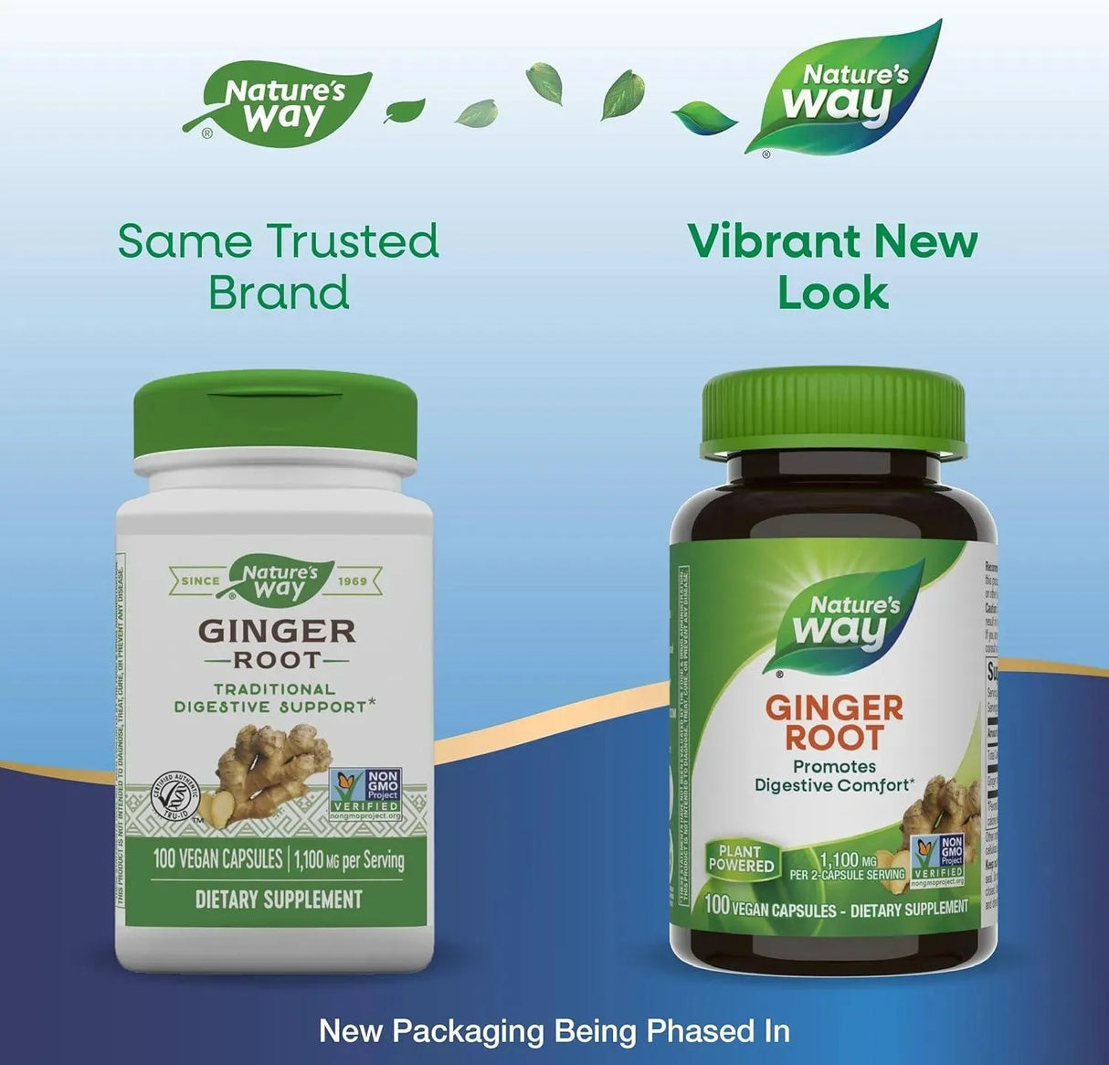 NATURE'S WAY - Nature's Way Ginger Root 1100Mg. 100 Capsulas - The Red Vitamin MX - Suplementos Alimenticios - {{ shop.shopifyCountryName }}