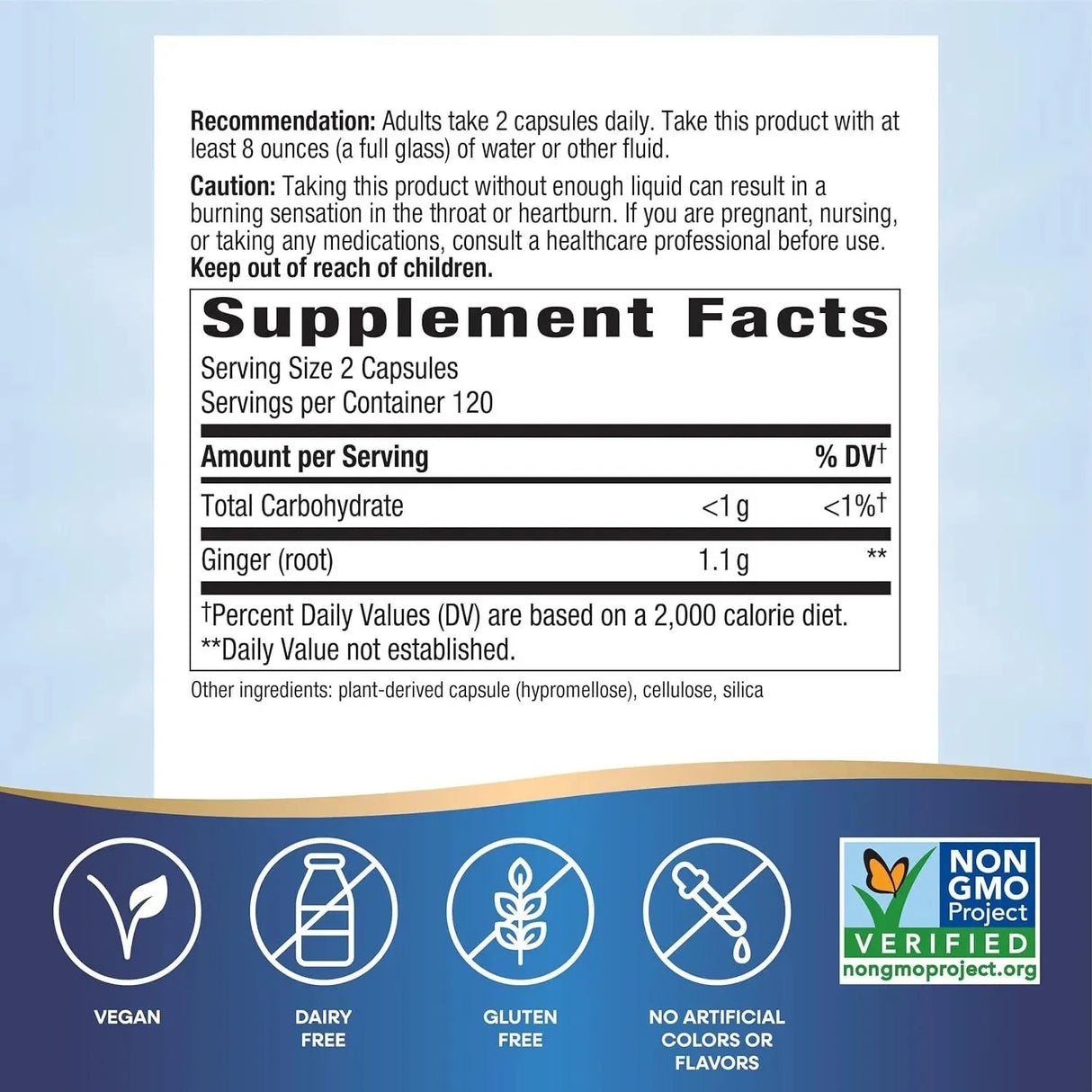 NATURE'S WAY - Nature's Way Ginger Root 1100Mg. 240 Capsulas - The Red Vitamin MX - Suplementos Alimenticios - {{ shop.shopifyCountryName }}