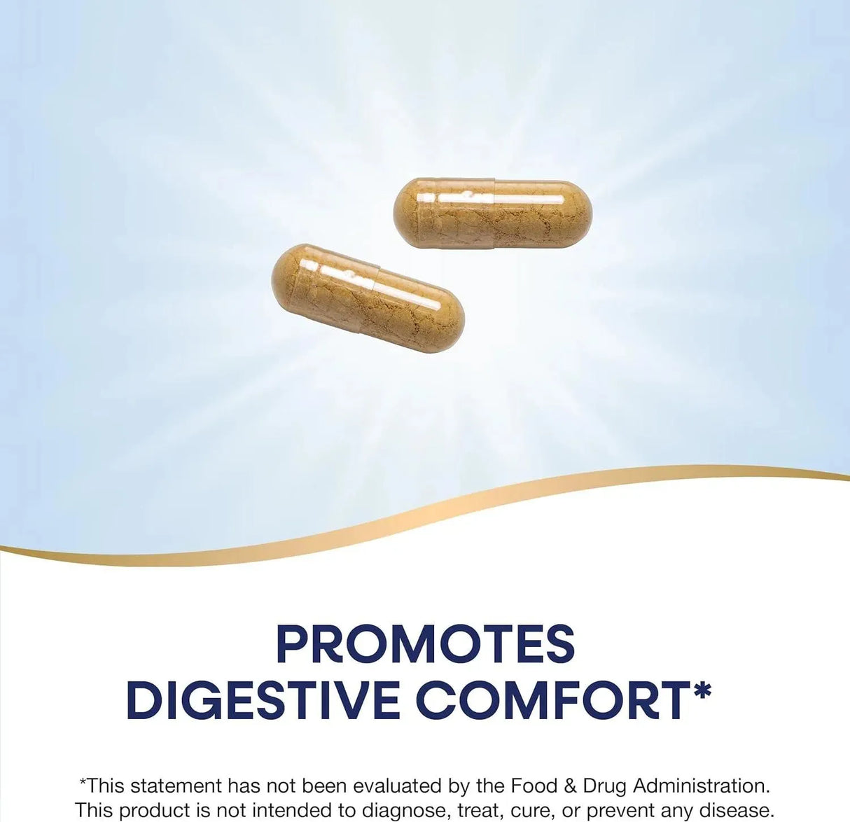 NATURE'S WAY - Nature's Way Ginger Root 1100Mg. 240 Capsulas - The Red Vitamin MX - Suplementos Alimenticios - {{ shop.shopifyCountryName }}