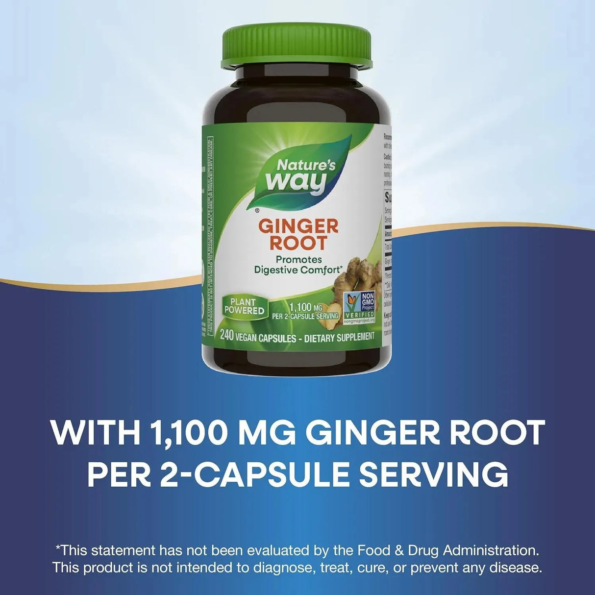 NATURE'S WAY - Nature's Way Ginger Root 1100Mg. 240 Capsulas - The Red Vitamin MX - Suplementos Alimenticios - {{ shop.shopifyCountryName }}