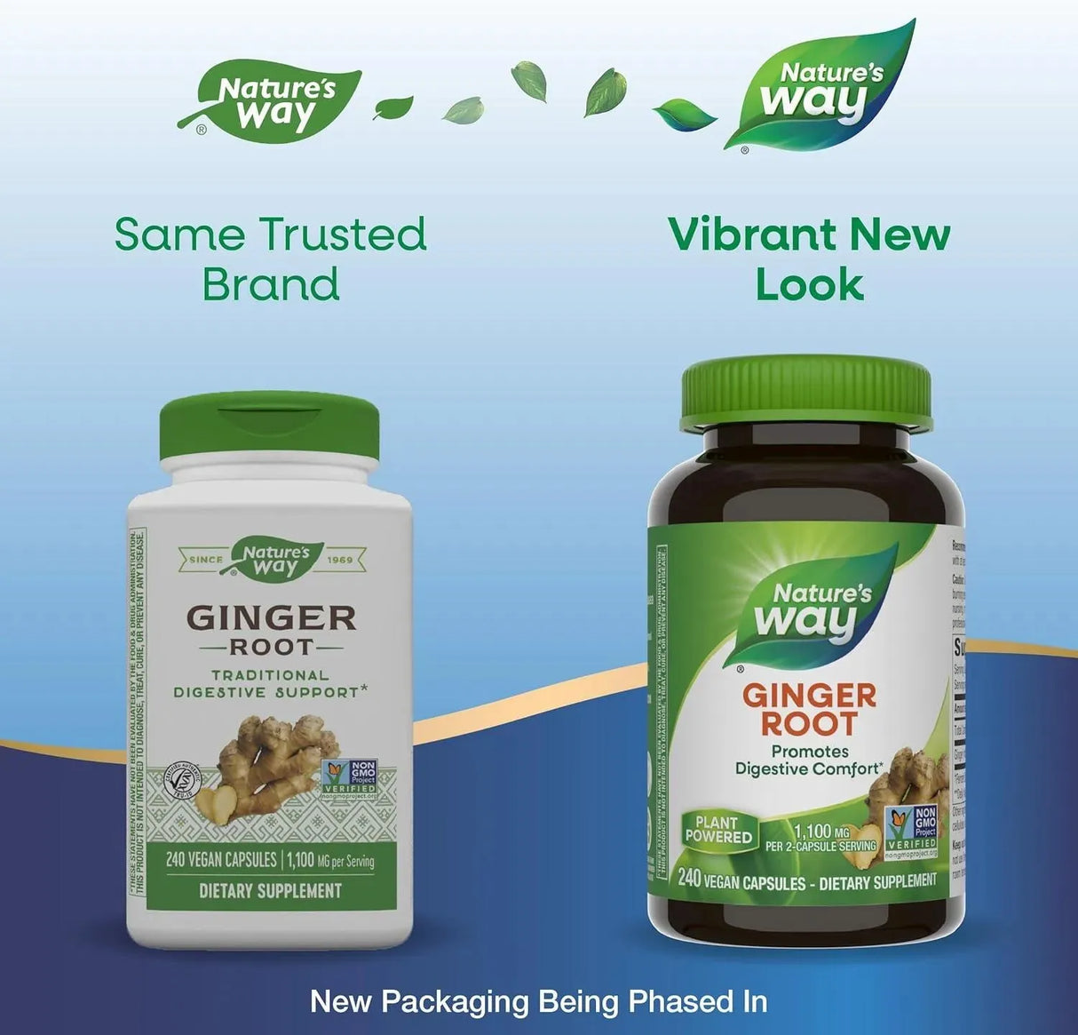 NATURE'S WAY - Nature's Way Ginger Root 1100Mg. 240 Capsulas - The Red Vitamin MX - Suplementos Alimenticios - {{ shop.shopifyCountryName }}