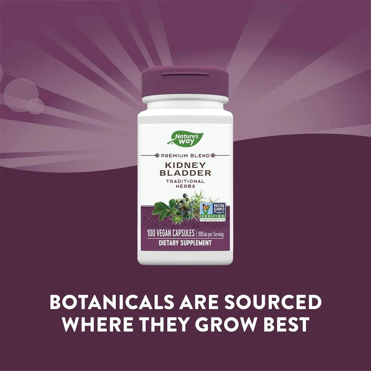 NATURE'S WAY - Nature's Way Kidney Bladder Premium Blend 100 Capsulas 2 Pack - The Red Vitamin MX - Suplementos Alimenticios - {{ shop.shopifyCountryName }}