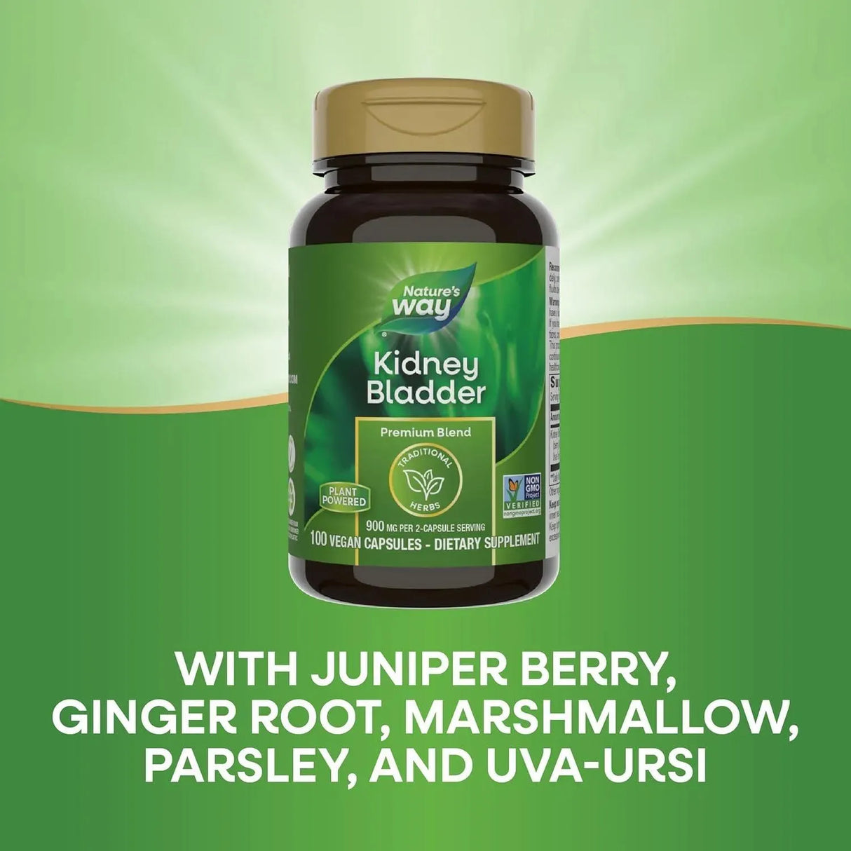 NATURE'S WAY - Nature's Way Kidney Bladder Premium Blend 100 Capsulas - The Red Vitamin MX - Suplementos Alimenticios - {{ shop.shopifyCountryName }}